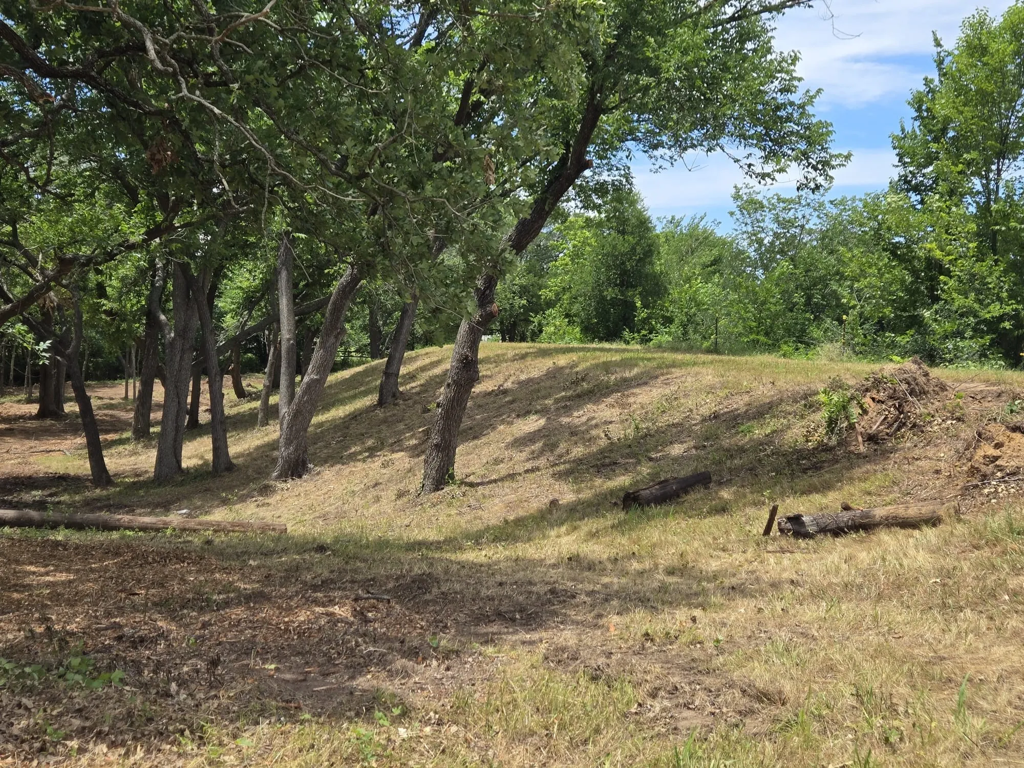Unimproved Land For Sale in Denton County , 4401 Red Rock Lane, Flower Mound, Texas 75022, 0, 0, Garage spaces, 0 Sqft, built in 0, mls#21013235, Real Estate Agent in Flower Mound, Homes For Sale in Denton county, Homes For Sale in Flower Mound, Realtor in Flower Mound Texas, Real Estate Brokerage Independent Realty Texas, Luminita Cordes Realtor