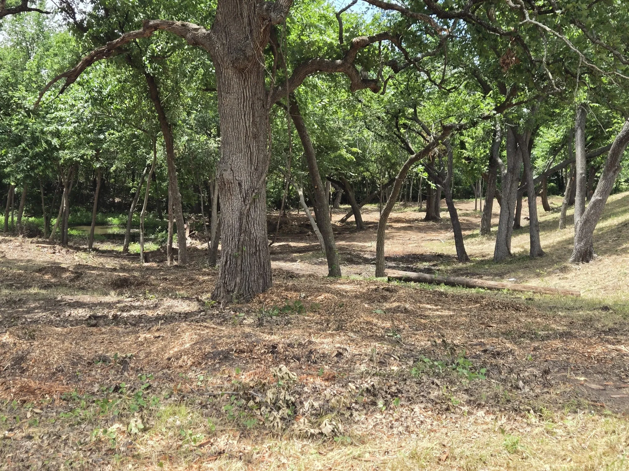 Unimproved Land For Sale in Denton County , 4401 Red Rock Lane, Flower Mound, Texas 75022, 0, 0, Garage spaces, 0 Sqft, built in 0, mls#21013235, Real Estate Agent in Flower Mound, Homes For Sale in Denton county, Homes For Sale in Flower Mound, Realtor in Flower Mound Texas, Real Estate Brokerage Independent Realty Texas, Luminita Cordes Realtor