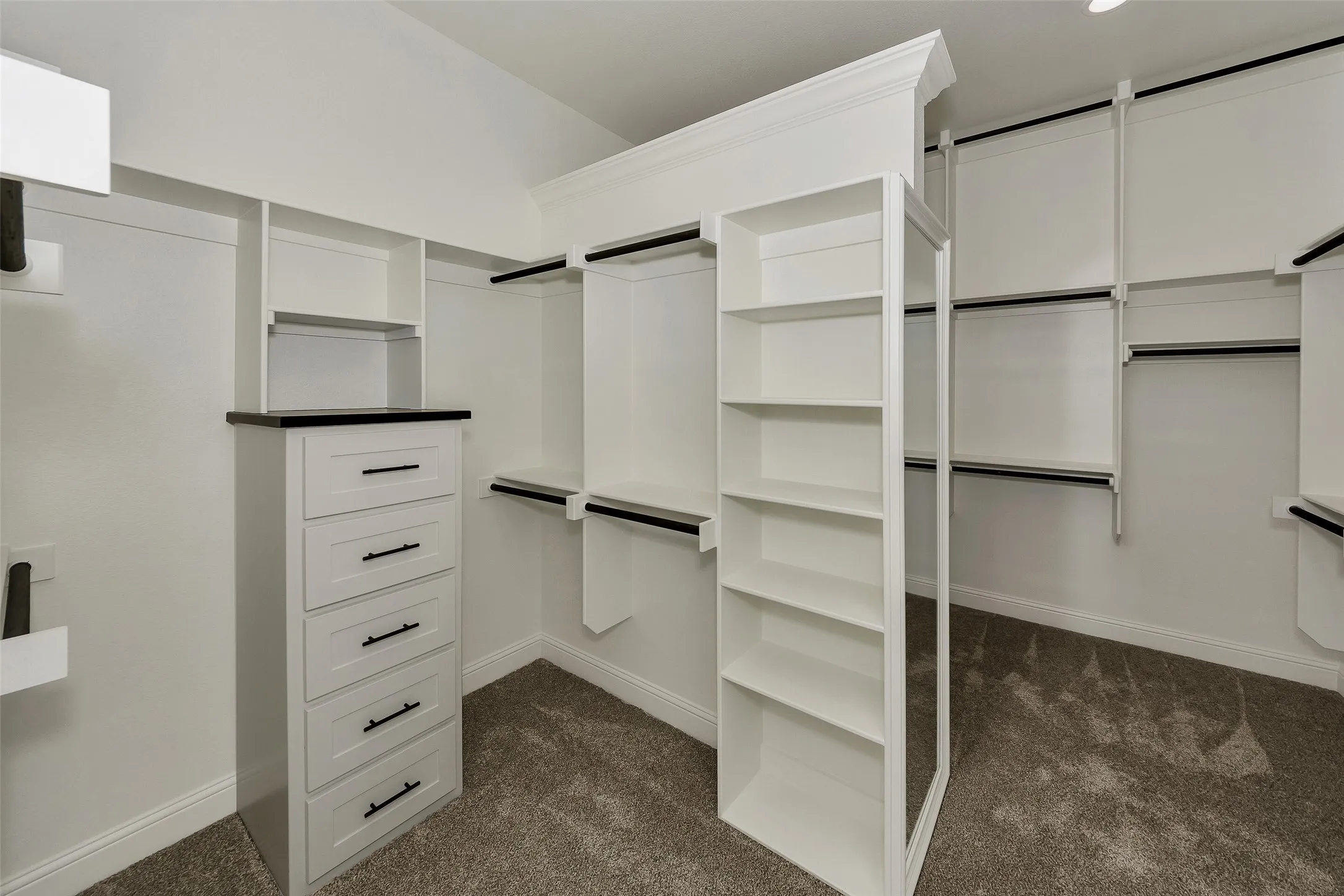 Spacious closet with dark carpet