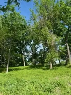 Unimproved Land For Sale in Hill County , 35 Longview Creek Trail, Itasca, Texas 76055, 0, 0, Garage spaces, 0 Sqft, built in 0, Price $125,000, mls#21014327, Real Estate Agent in Itasca, Homes For Sale in Hill county, Homes For Sale in Itasca, Realtor in Itasca Texas, Real Estate Brokerage Independent Realty Texas, Luminita Cordes Realtor