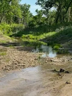 Unimproved Land For Sale in Hill County , 35 Longview Creek Trail, Itasca, Texas 76055, 0, 0, Garage spaces, 0 Sqft, built in 0, Price $125,000, mls#21014327, Real Estate Agent in Itasca, Homes For Sale in Hill county, Homes For Sale in Itasca, Realtor in Itasca Texas, Real Estate Brokerage Independent Realty Texas, Luminita Cordes Realtor