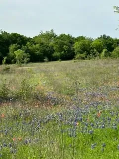 Unimproved Land For Sale in Hill County , 35 Longview Creek Trail, Itasca, Texas 76055, 0, 0, Garage spaces, 0 Sqft, built in 0, Price $125,000, mls#21014327, Real Estate Agent in Itasca, Homes For Sale in Hill county, Homes For Sale in Itasca, Realtor in Itasca Texas, Real Estate Brokerage Independent Realty Texas, Luminita Cordes Realtor