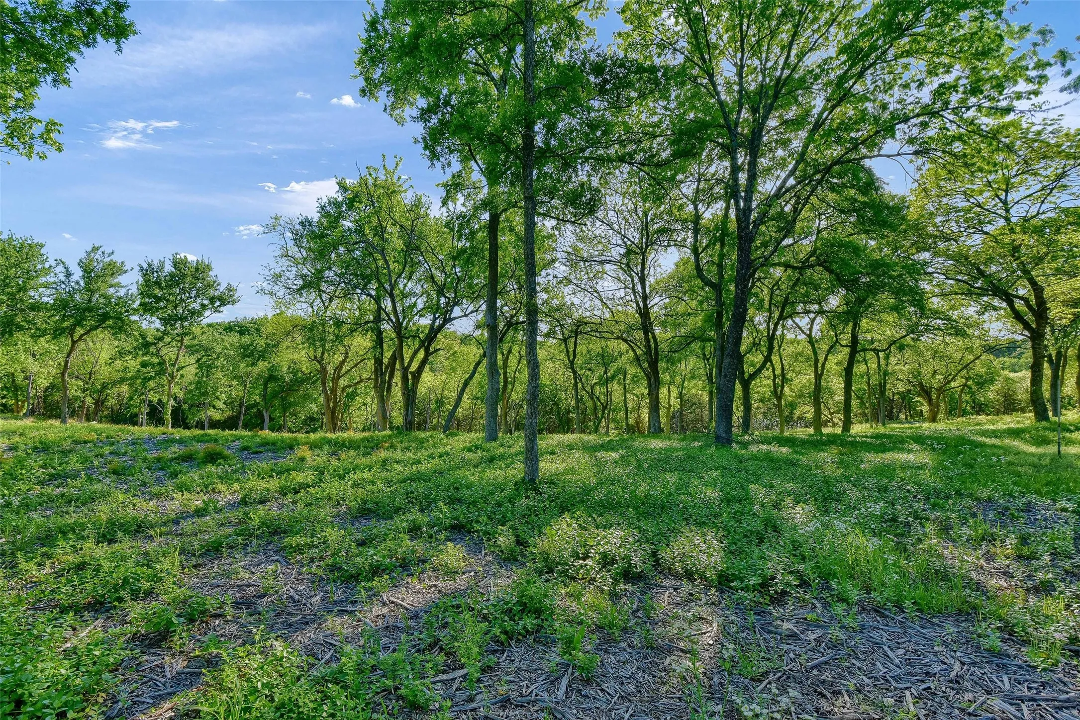 Unimproved Land For Sale in Grayson County , Lot 1A-1 Thompson Heights Drive, Denison, Texas 75020, 0, 0, Garage spaces, 0 Sqft, built in 0, Price $495,000, mls#21015671, Real Estate Agent in Denison, Homes For Sale in Grayson county, Homes For Sale in Denison, Realtor in Denison Texas, Real Estate Brokerage Independent Realty Texas, Luminita Cordes Realtor