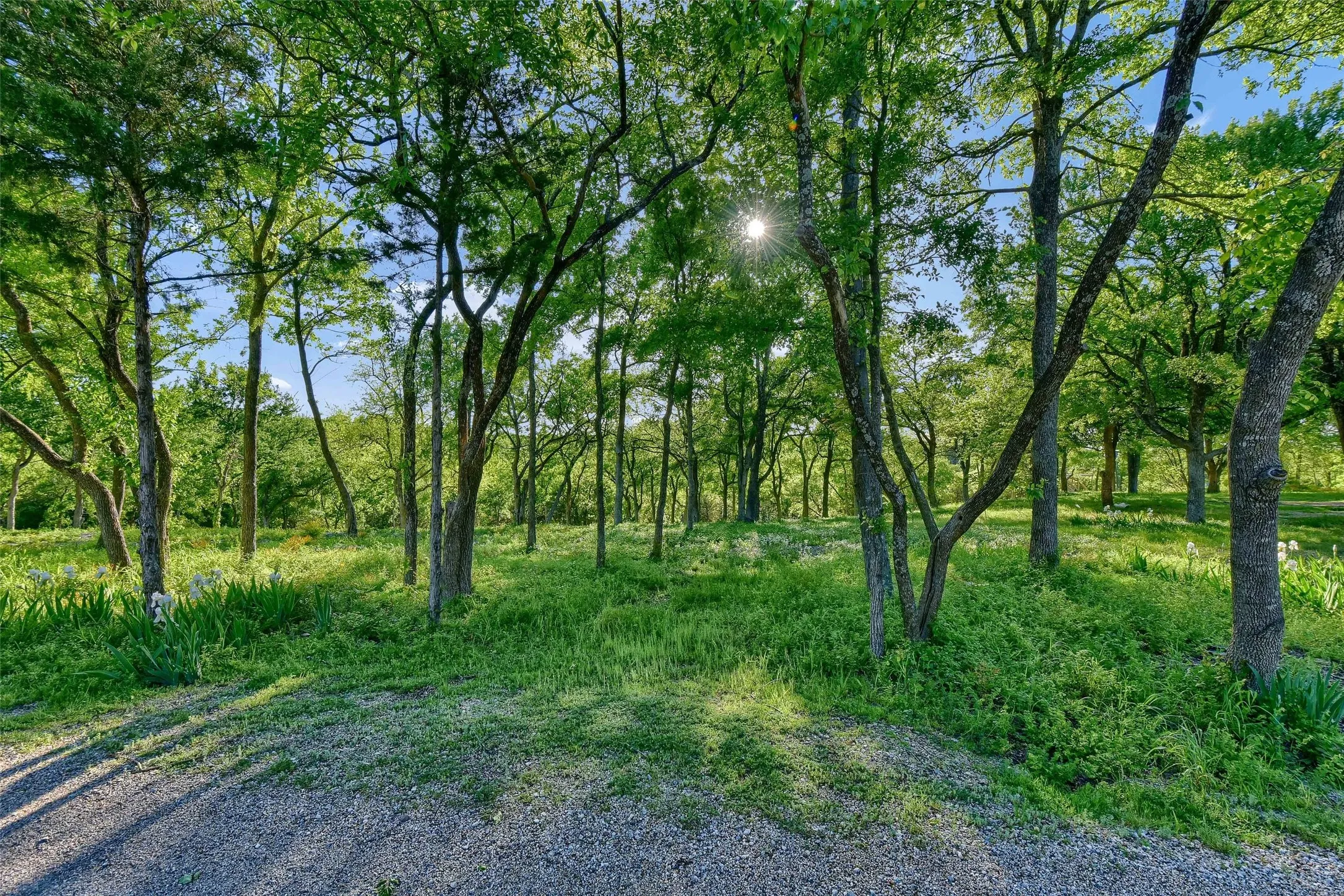 Unimproved Land For Sale in Grayson County , Lot 1A-1 Thompson Heights Drive, Denison, Texas 75020, 0, 0, Garage spaces, 0 Sqft, built in 0, Price $495,000, mls#21015671, Real Estate Agent in Denison, Homes For Sale in Grayson county, Homes For Sale in Denison, Realtor in Denison Texas, Real Estate Brokerage Independent Realty Texas, Luminita Cordes Realtor