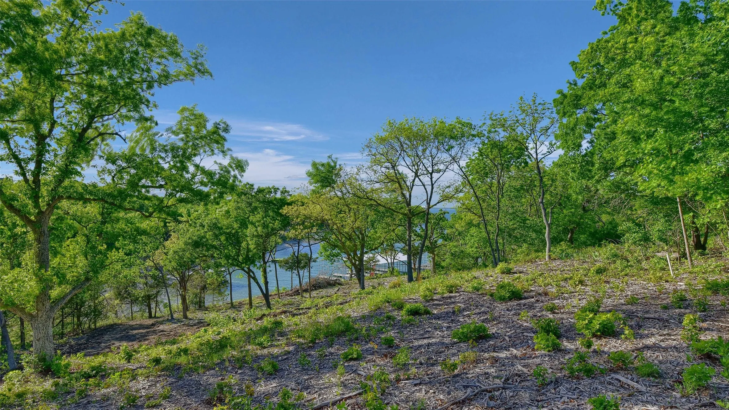 Unimproved Land For Sale in Grayson County , Lot 2A-1 Thompson Heights Drive, Denison, Texas 75020, 0, 0, Garage spaces, 0 Sqft, built in 0, Price $1,350,000, mls#21015991, Real Estate Agent in Denison, Homes For Sale in Grayson county, Homes For Sale in Denison, Realtor in Denison Texas, Real Estate Brokerage Independent Realty Texas, Luminita Cordes Realtor