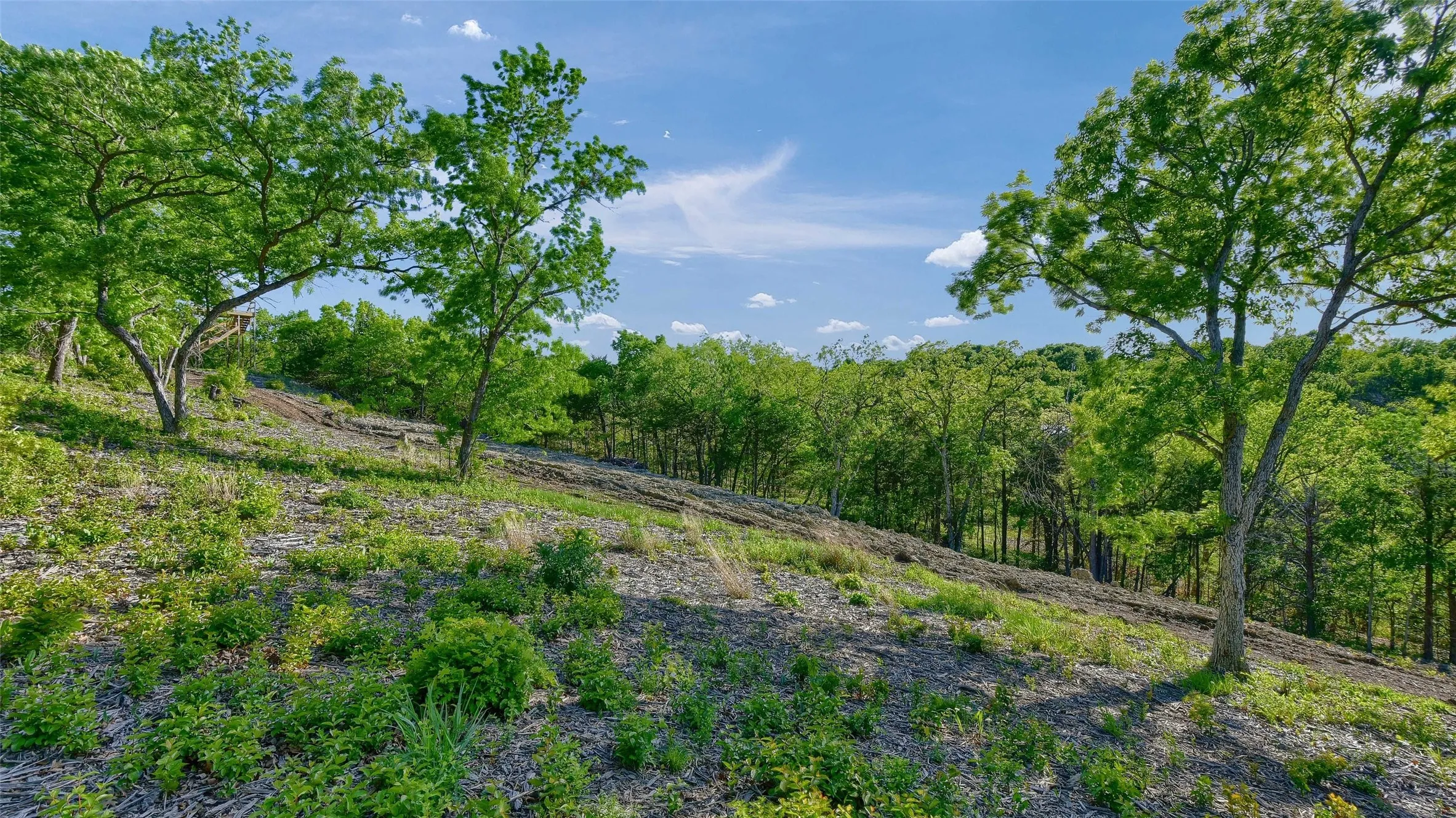 Unimproved Land For Sale in Grayson County , Lot 2A-1 Thompson Heights Drive, Denison, Texas 75020, 0, 0, Garage spaces, 0 Sqft, built in 0, Price $1,350,000, mls#21015991, Real Estate Agent in Denison, Homes For Sale in Grayson county, Homes For Sale in Denison, Realtor in Denison Texas, Real Estate Brokerage Independent Realty Texas, Luminita Cordes Realtor
