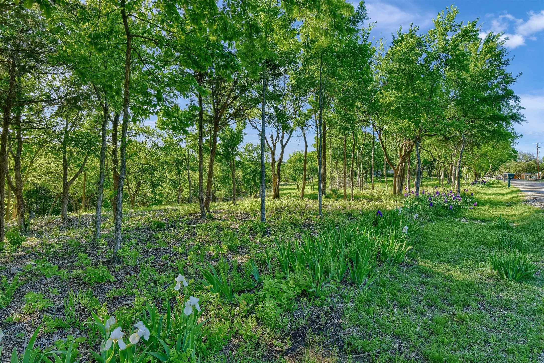 Unimproved Land For Sale in Grayson County , Lot 2A-1 Thompson Heights Drive, Denison, Texas 75020, 0, 0, Garage spaces, 0 Sqft, built in 0, Price $1,350,000, mls#21015991, Real Estate Agent in Denison, Homes For Sale in Grayson county, Homes For Sale in Denison, Realtor in Denison Texas, Real Estate Brokerage Independent Realty Texas, Luminita Cordes Realtor