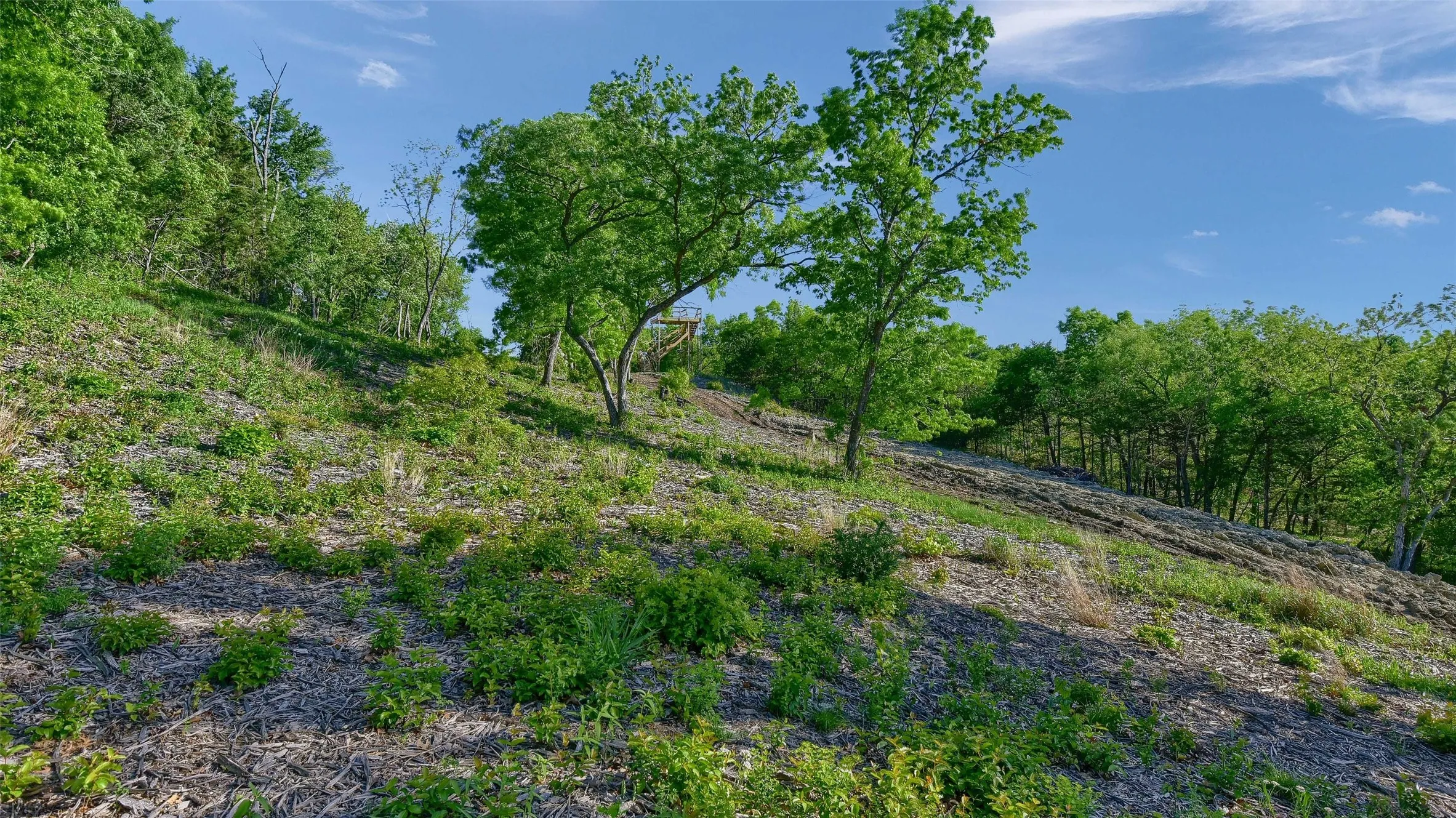 Unimproved Land For Sale in Grayson County , Lot 2A-1 Thompson Heights Drive, Denison, Texas 75020, 0, 0, Garage spaces, 0 Sqft, built in 0, Price $1,350,000, mls#21015991, Real Estate Agent in Denison, Homes For Sale in Grayson county, Homes For Sale in Denison, Realtor in Denison Texas, Real Estate Brokerage Independent Realty Texas, Luminita Cordes Realtor