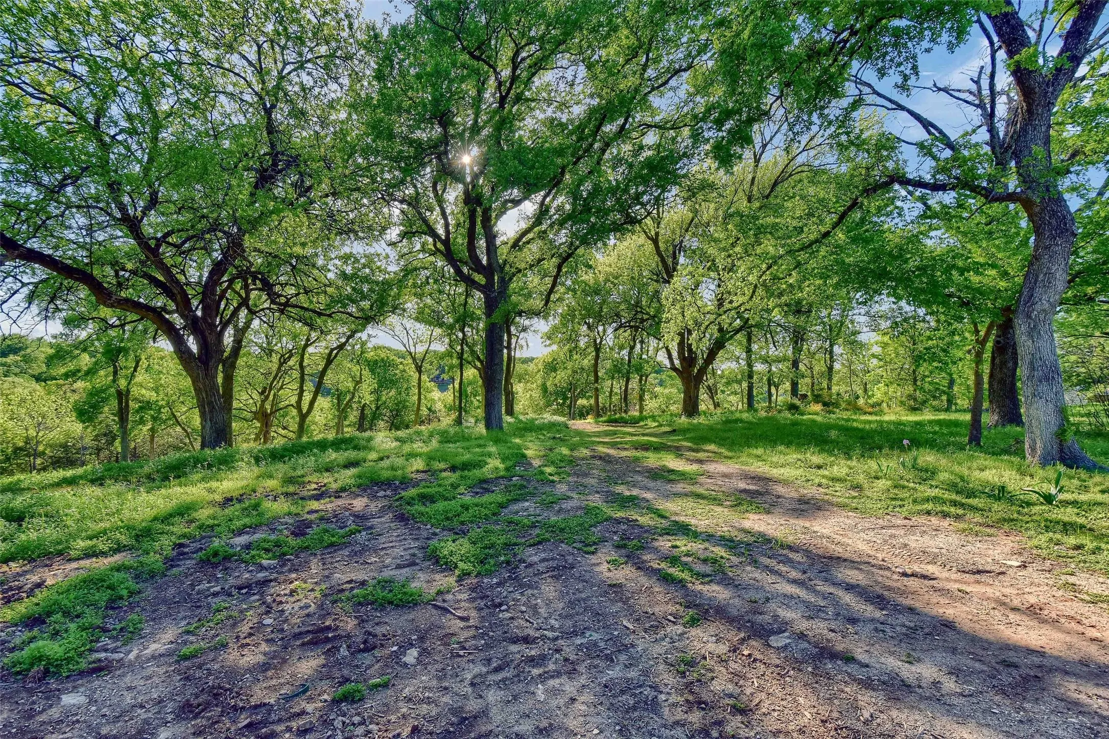 Unimproved Land For Sale in Grayson County , Lot 2A-1 Thompson Heights Drive, Denison, Texas 75020, 0, 0, Garage spaces, 0 Sqft, built in 0, Price $1,350,000, mls#21015991, Real Estate Agent in Denison, Homes For Sale in Grayson county, Homes For Sale in Denison, Realtor in Denison Texas, Real Estate Brokerage Independent Realty Texas, Luminita Cordes Realtor
