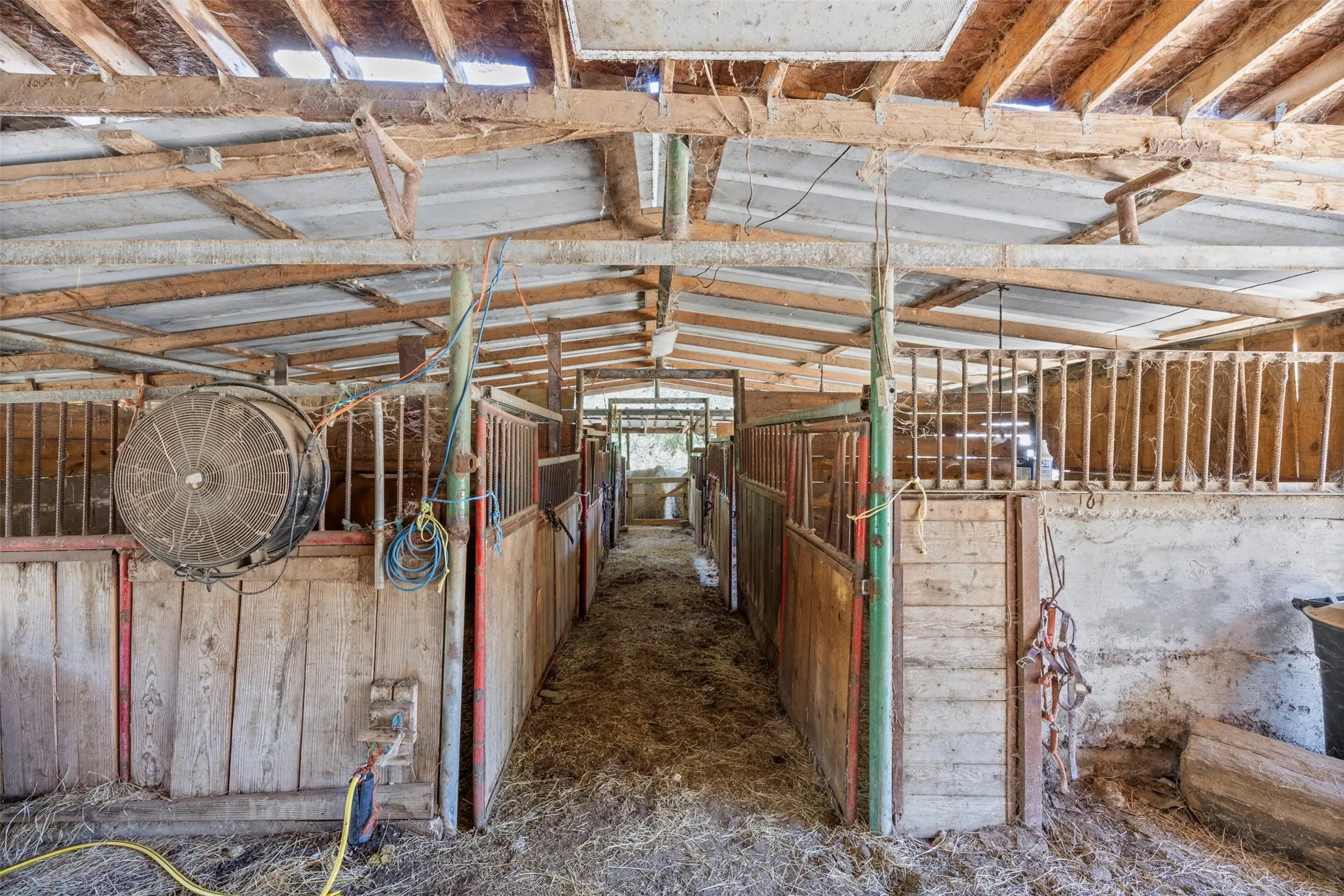 View of horse barn