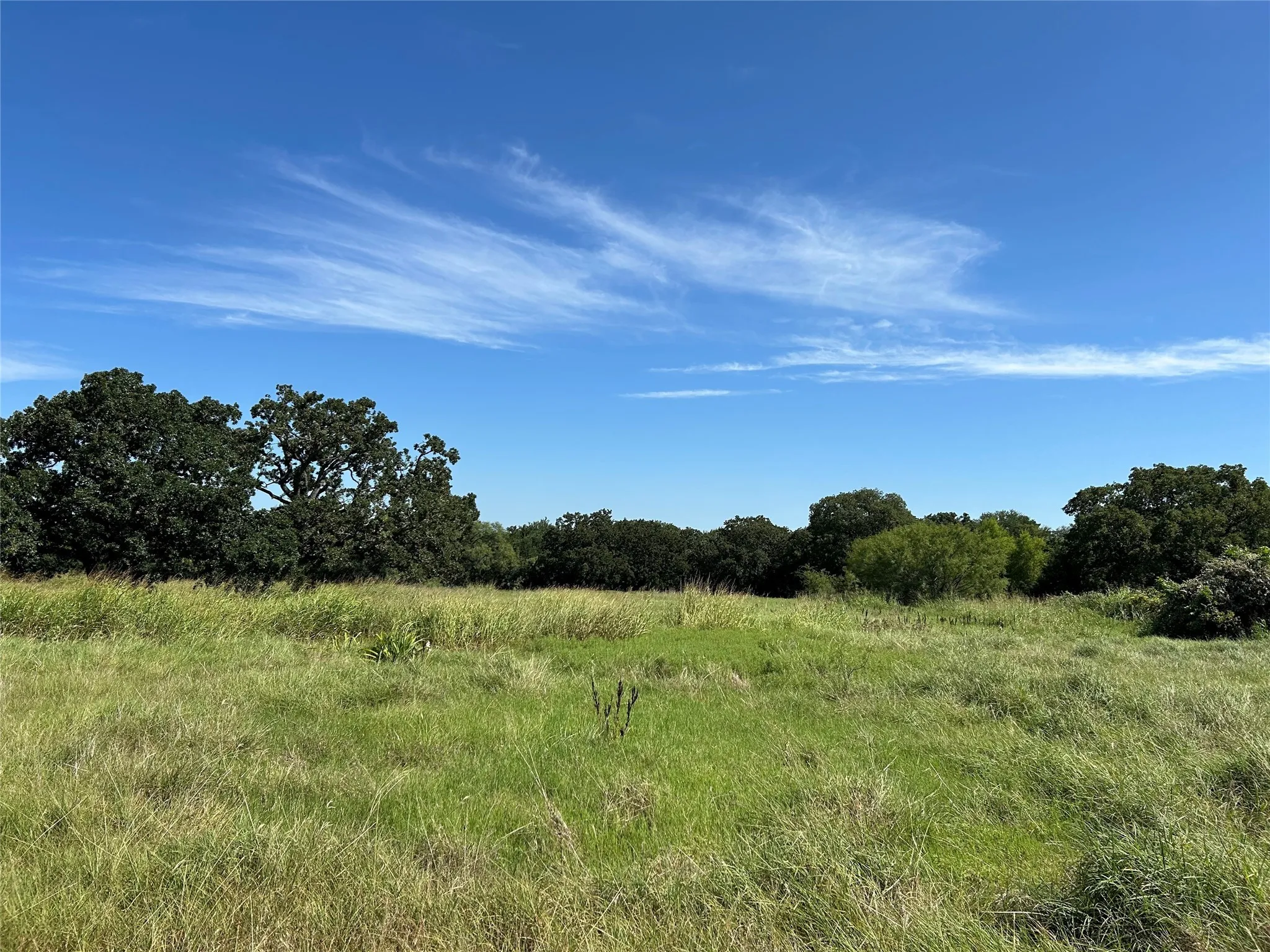 Unimproved Land For Sale in Wise County , 6088 US Highway 380, Bridgeport, Texas 76426, 0, 0, Garage spaces, 0 Sqft, built in 0, mls#21017434, Real Estate Agent in Bridgeport, Homes For Sale in Wise county, Homes For Sale in Bridgeport, Realtor in Bridgeport Texas, Real Estate Brokerage Independent Realty Texas, Luminita Cordes Realtor