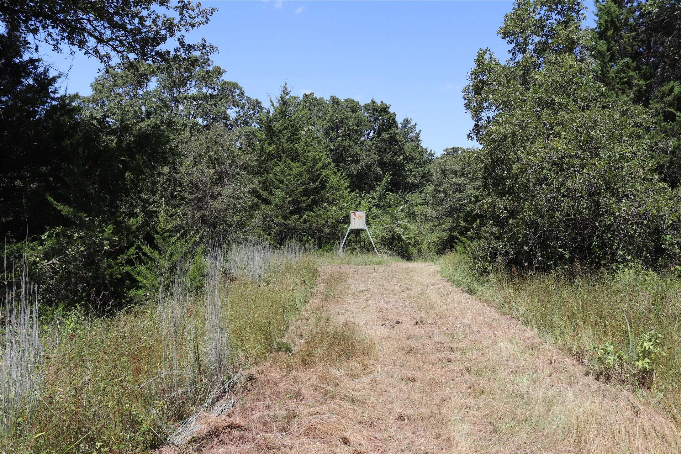 Farm For Sale in Montague County , 2642 Huddleston, Sunset, Texas 76270, 4 Bedrooms, 3 Bathrooms, 3 Garage spaces, 2,900 Sqft, built in 2000, Price $1,250,000, mls#21017753, Real Estate Agent in Sunset, Homes For Sale in Montague county, Homes For Sale in Sunset, Realtor in Sunset Texas, Real Estate Brokerage Independent Realty Texas, Luminita Cordes Realtor
