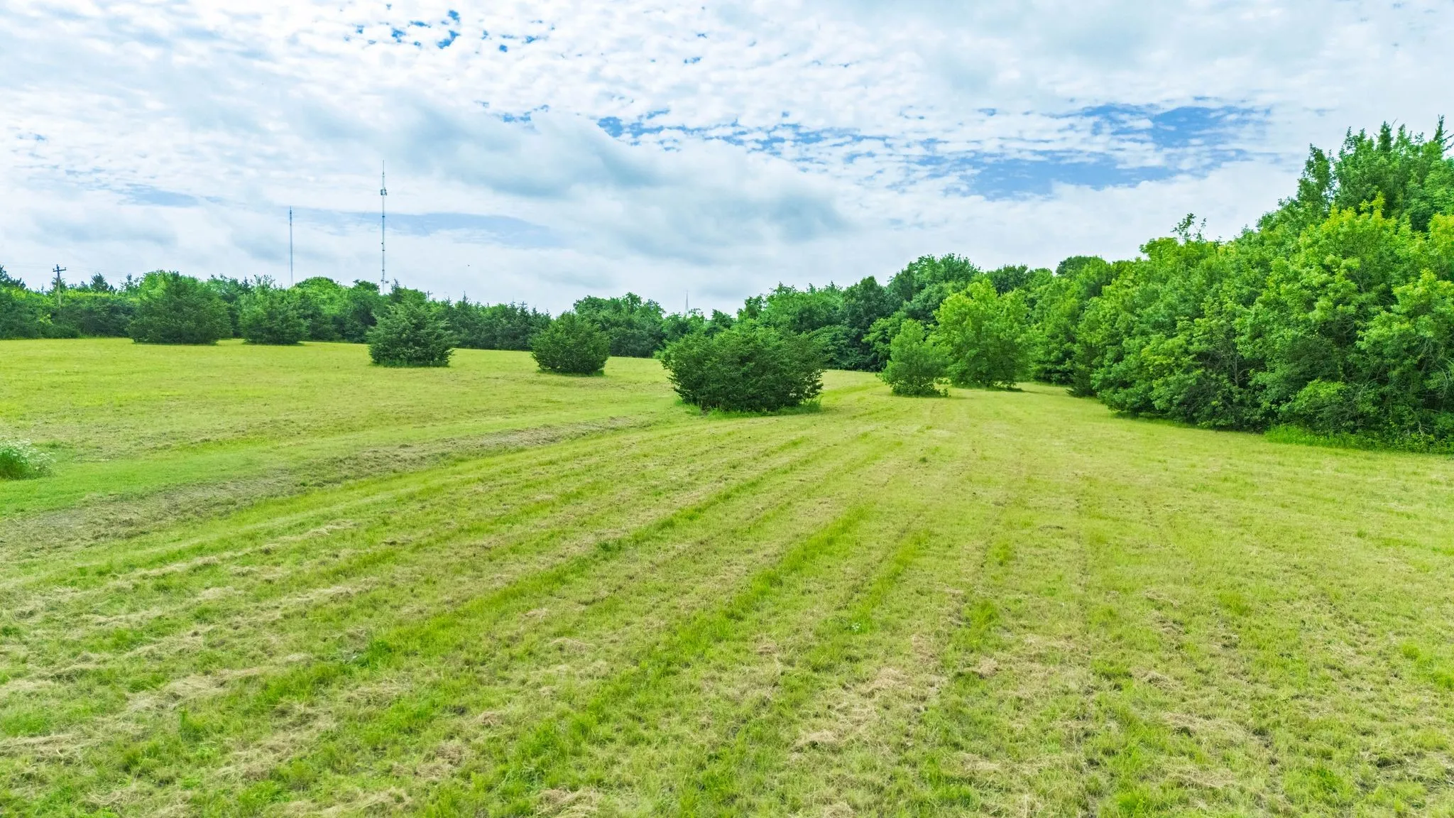 Unimproved Land For Sale in Fannin County , TBD 2 Acres Fm-896, Leonard, Texas 75452, 0, 0, Garage spaces, 0 Sqft, built in 0, mls#21017939, Real Estate Agent in Leonard, Homes For Sale in Fannin county, Homes For Sale in Leonard, Realtor in Leonard Texas, Real Estate Brokerage Independent Realty Texas, Luminita Cordes Realtor