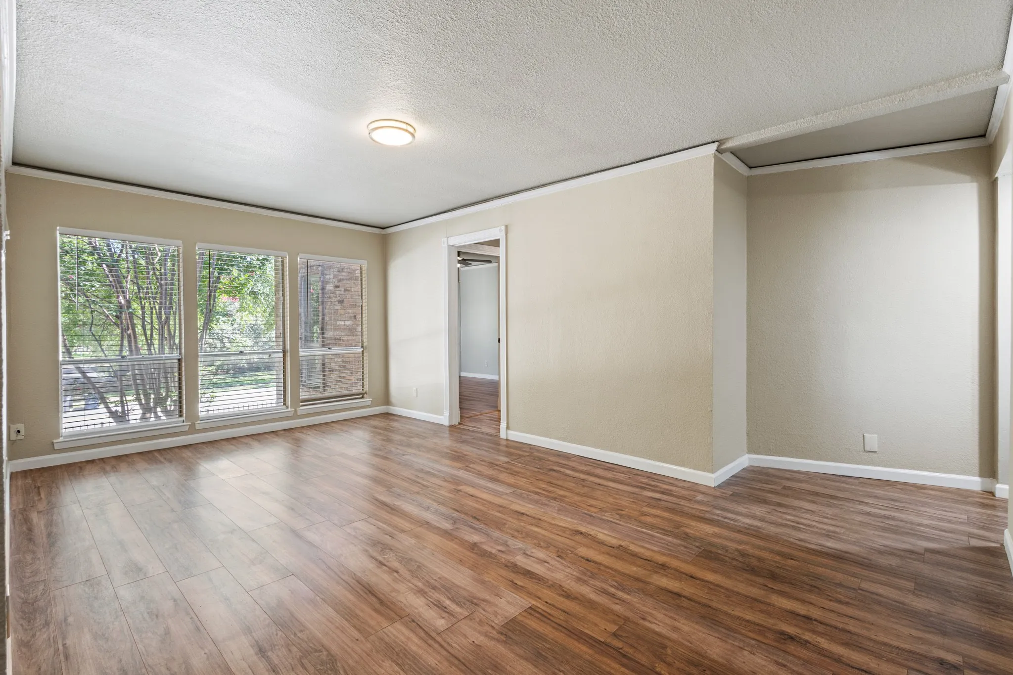 Unfurnished room featuring wood finished floors, a textured ceiling, and ornamental molding