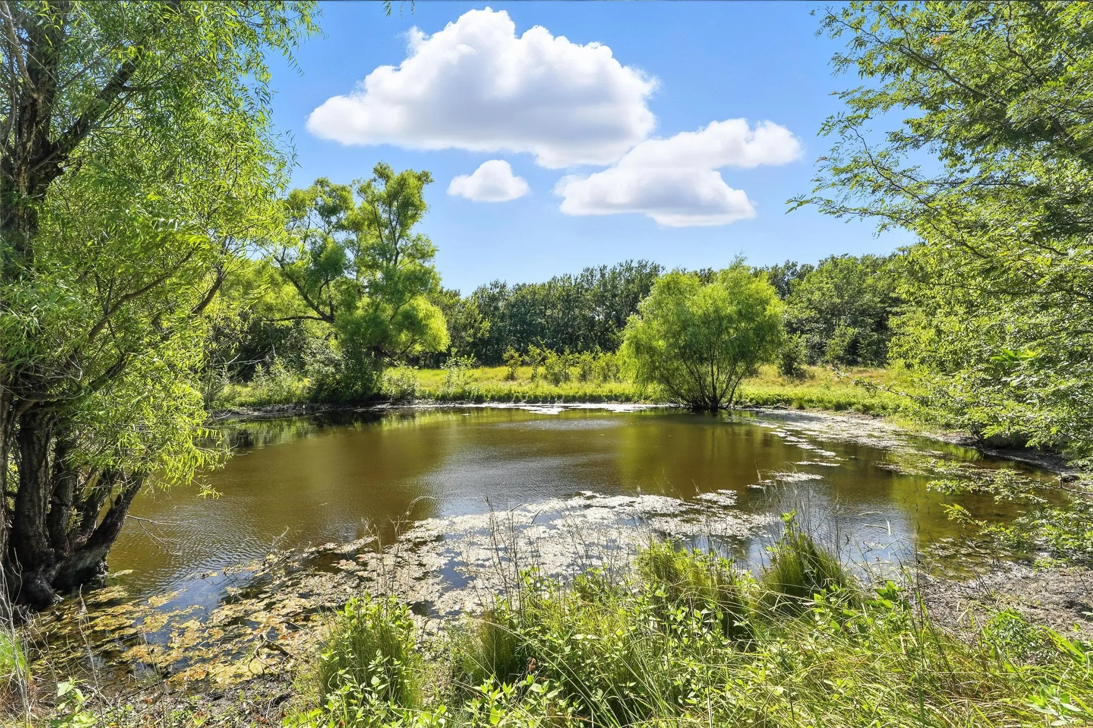 Water view featuring a heavily wooded area