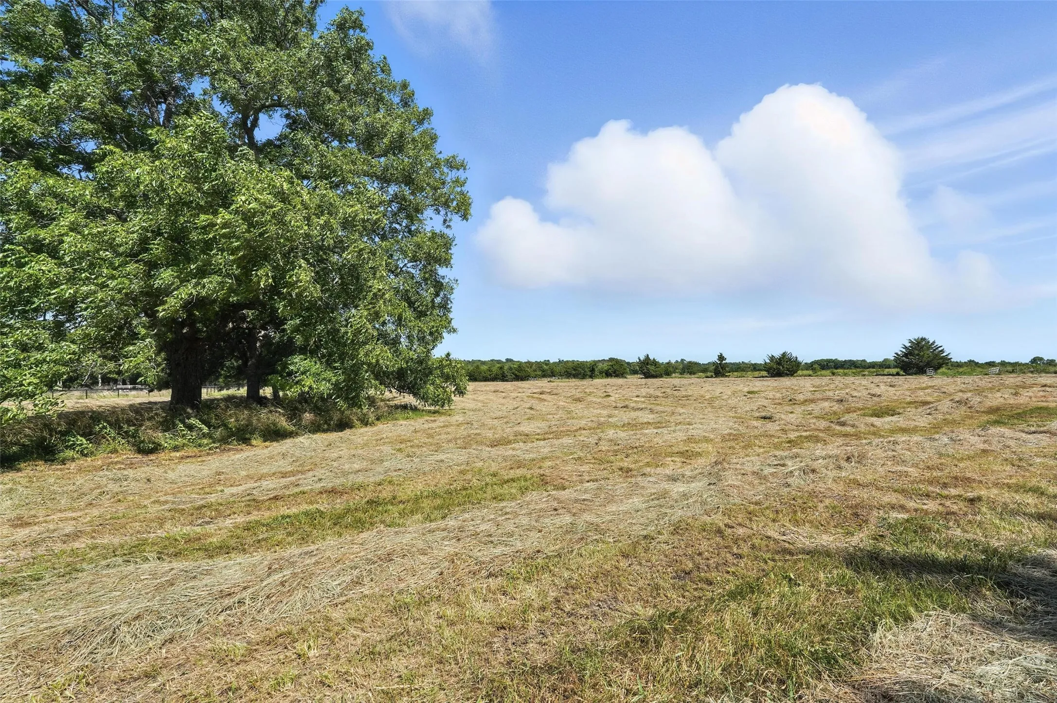 View of undeveloped land featuring rural landscape