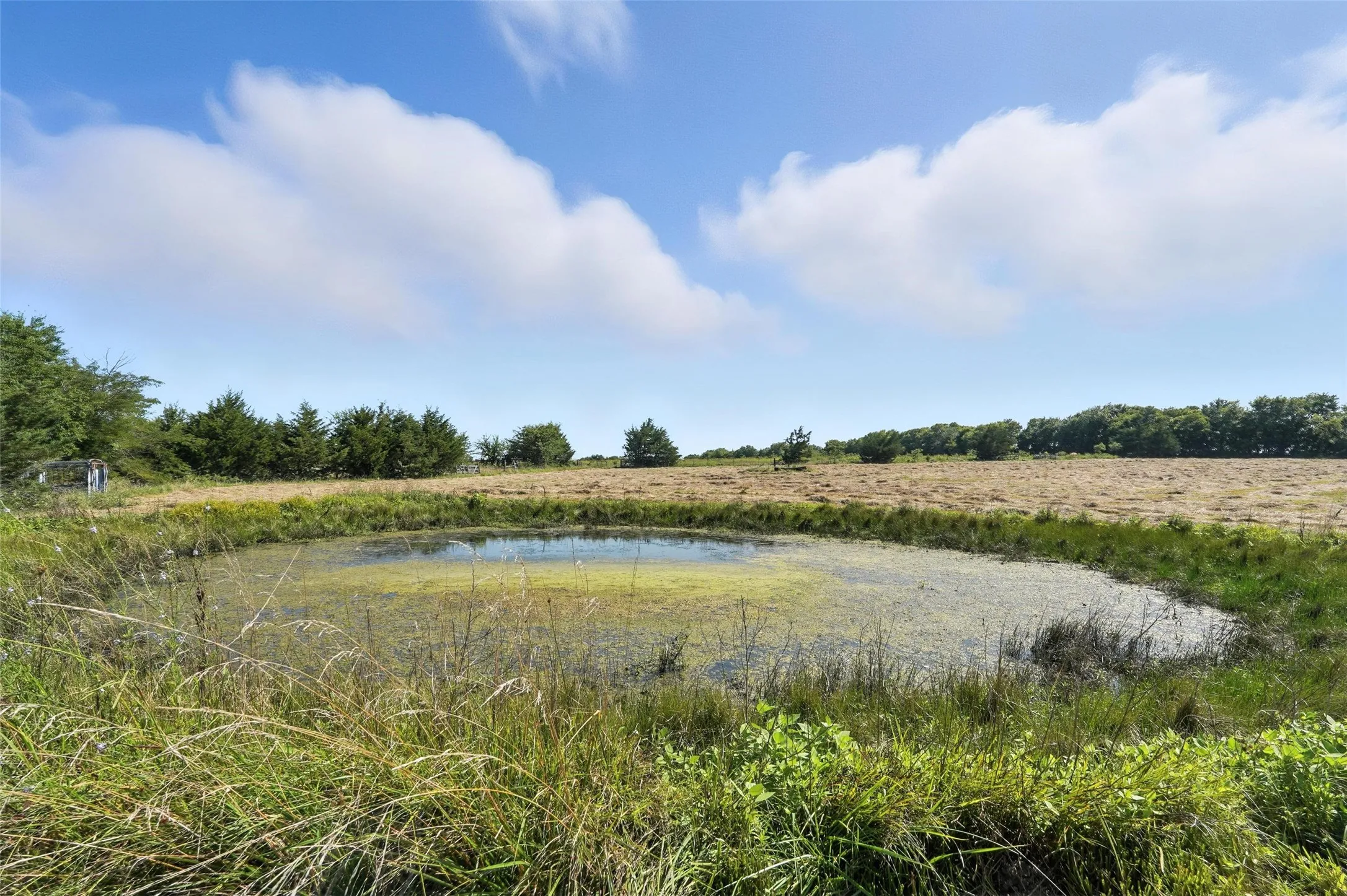 View of local wilderness with a large body of water