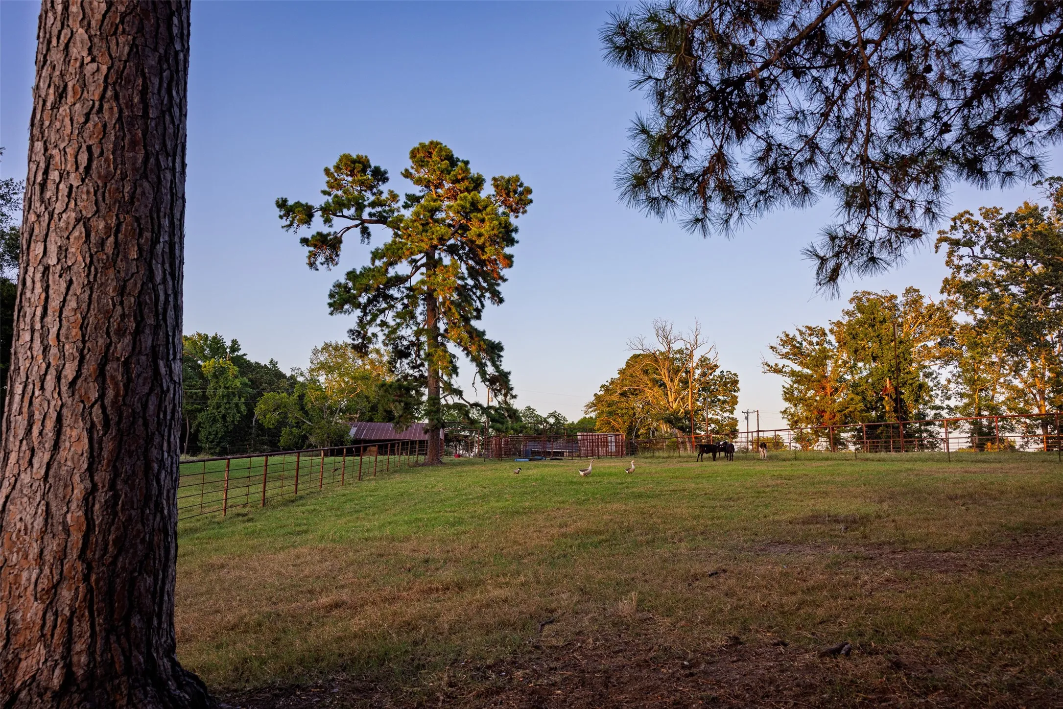 Ranch For Sale in Henderson County , 12701 FM 2010, Chandler, Texas 75758, 0, 0, Garage spaces, 0 Sqft, built in 2008, Price $1,075,000, mls#21020743, Real Estate Agent in Chandler, Homes For Sale in Henderson county, Homes For Sale in Chandler, Realtor in Chandler Texas, Real Estate Brokerage Independent Realty Texas, Luminita Cordes Realtor