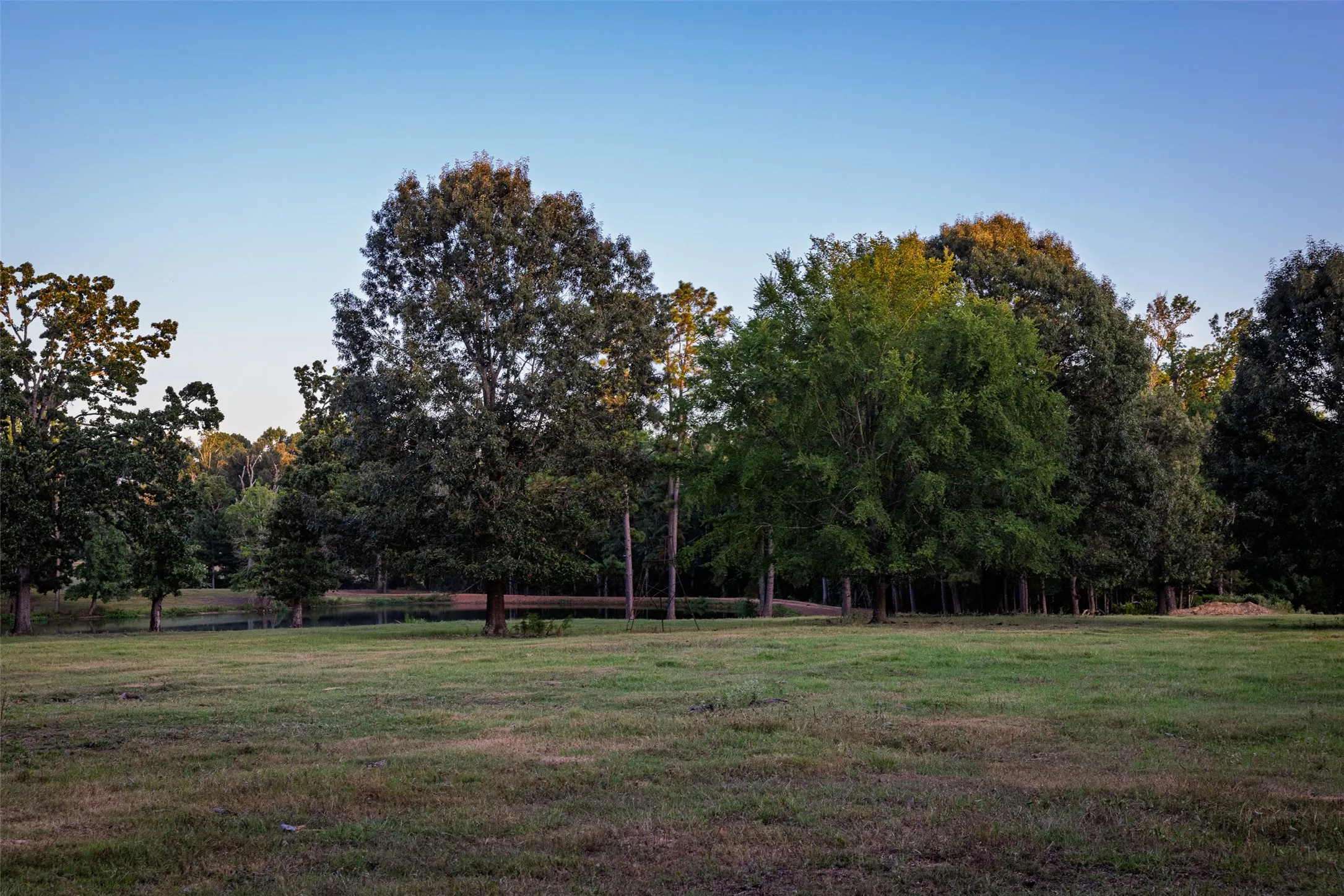 Ranch For Sale in Henderson County , 12701 FM 2010, Chandler, Texas 75758, 0, 0, Garage spaces, 0 Sqft, built in 2008, Price $1,075,000, mls#21020743, Real Estate Agent in Chandler, Homes For Sale in Henderson county, Homes For Sale in Chandler, Realtor in Chandler Texas, Real Estate Brokerage Independent Realty Texas, Luminita Cordes Realtor