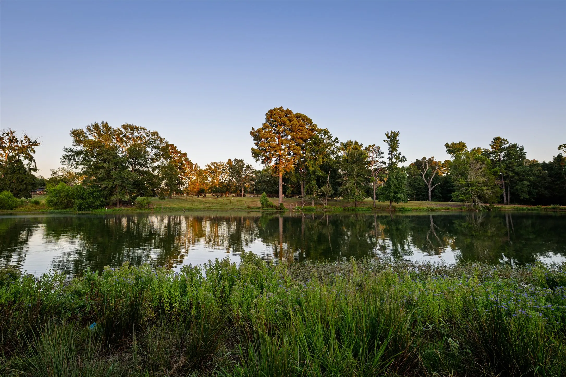 Ranch For Sale in Henderson County , 12701 FM 2010, Chandler, Texas 75758, 0, 0, Garage spaces, 0 Sqft, built in 2008, Price $1,075,000, mls#21020743, Real Estate Agent in Chandler, Homes For Sale in Henderson county, Homes For Sale in Chandler, Realtor in Chandler Texas, Real Estate Brokerage Independent Realty Texas, Luminita Cordes Realtor