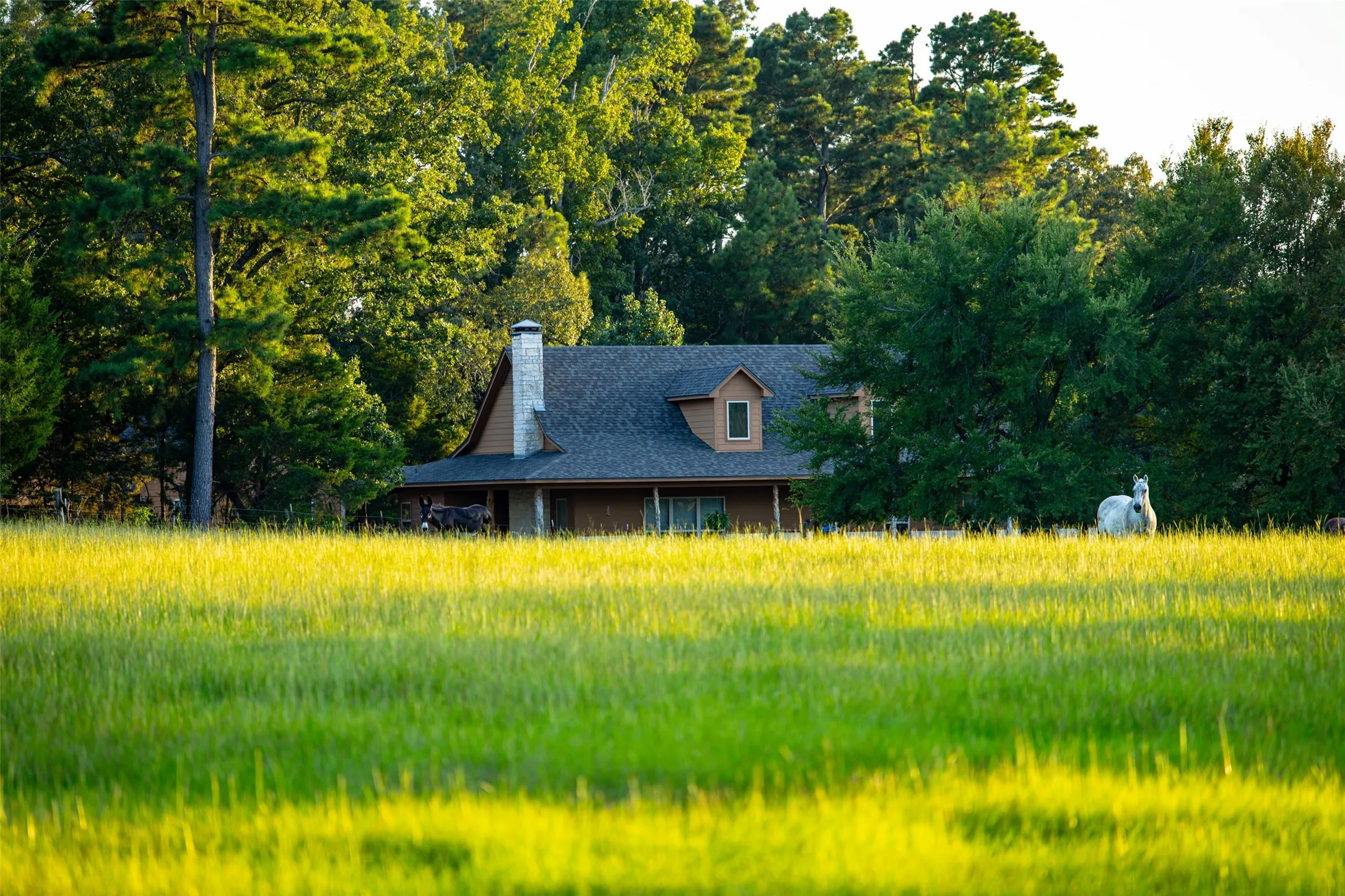 Ranch For Sale in Henderson County , 12701 FM 2010, Chandler, Texas 75758, 0, 0, Garage spaces, 0 Sqft, built in 2008, Price $1,075,000, mls#21020743, Real Estate Agent in Chandler, Homes For Sale in Henderson county, Homes For Sale in Chandler, Realtor in Chandler Texas, Real Estate Brokerage Independent Realty Texas, Luminita Cordes Realtor