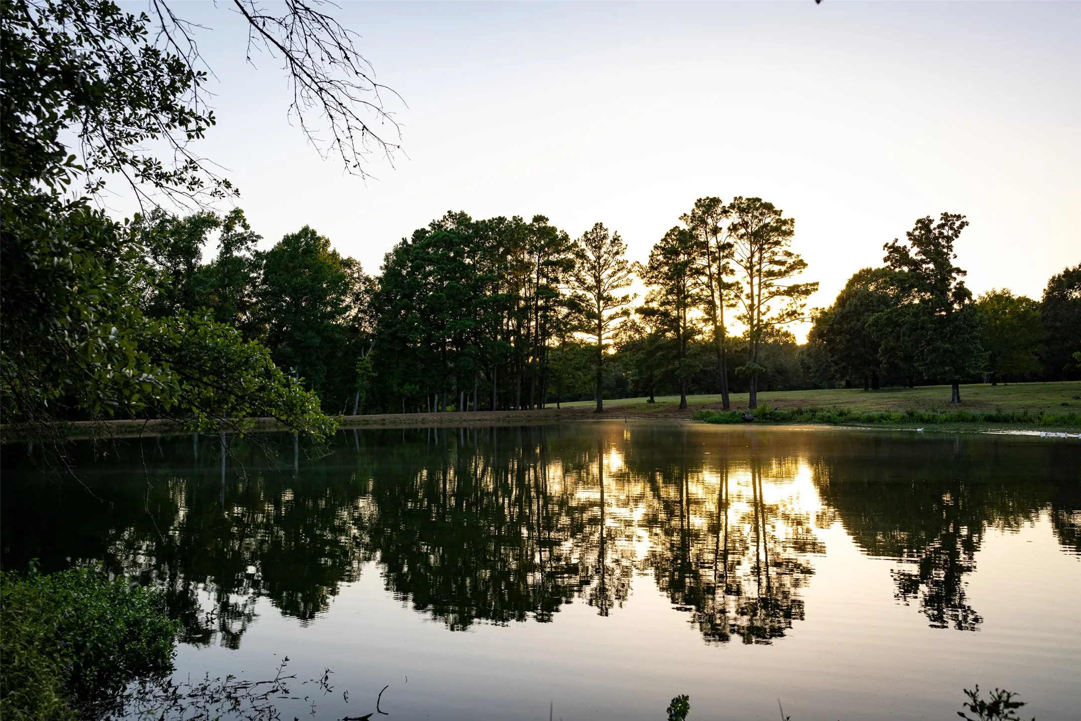 Ranch For Sale in Henderson County , 12701 FM 2010, Chandler, Texas 75758, 0, 0, Garage spaces, 0 Sqft, built in 2008, Price $1,075,000, mls#21020743, Real Estate Agent in Chandler, Homes For Sale in Henderson county, Homes For Sale in Chandler, Realtor in Chandler Texas, Real Estate Brokerage Independent Realty Texas, Luminita Cordes Realtor