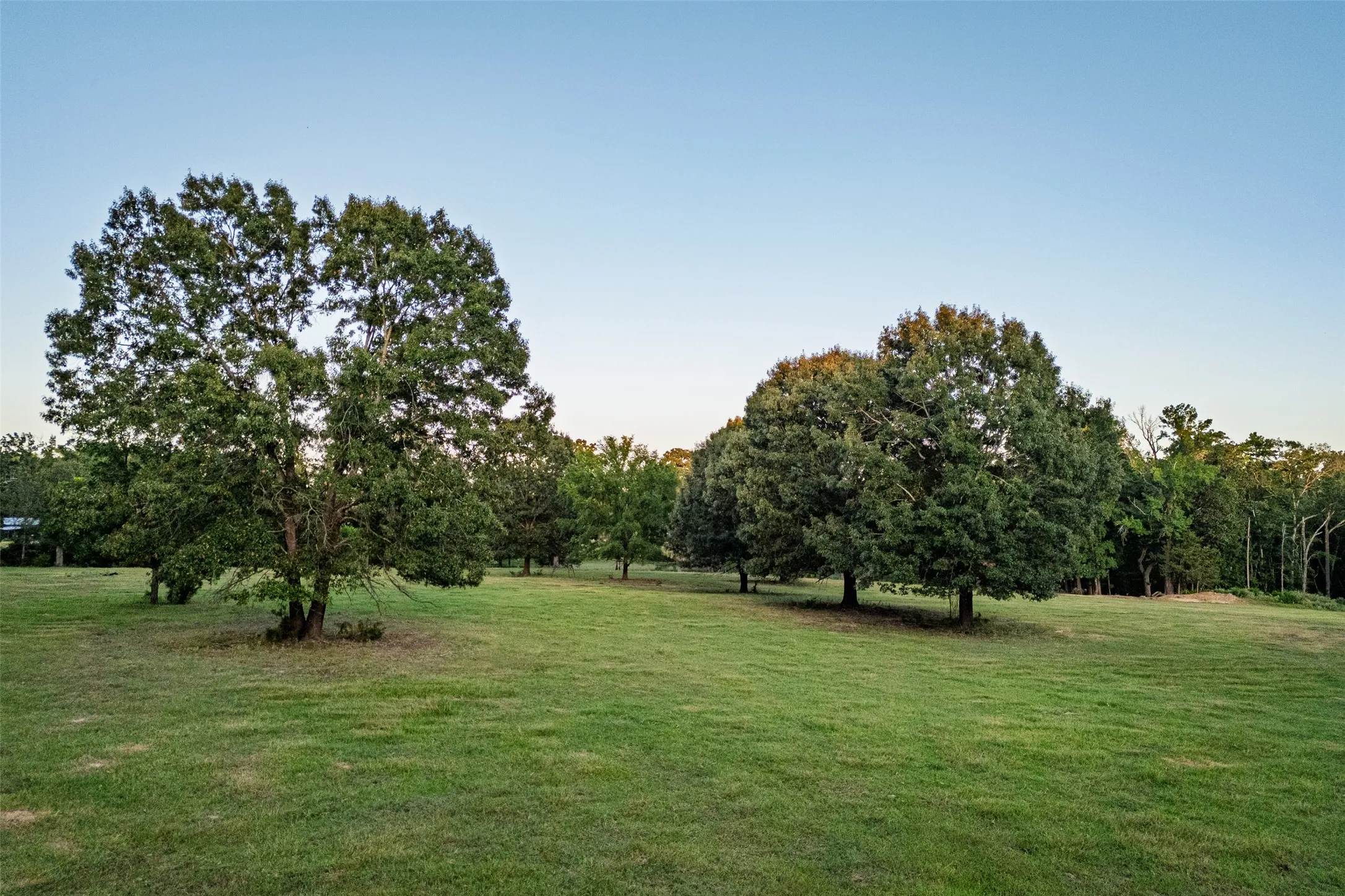 Ranch For Sale in Henderson County , 12701 FM 2010, Chandler, Texas 75758, 0, 0, Garage spaces, 0 Sqft, built in 2008, Price $1,075,000, mls#21020743, Real Estate Agent in Chandler, Homes For Sale in Henderson county, Homes For Sale in Chandler, Realtor in Chandler Texas, Real Estate Brokerage Independent Realty Texas, Luminita Cordes Realtor
