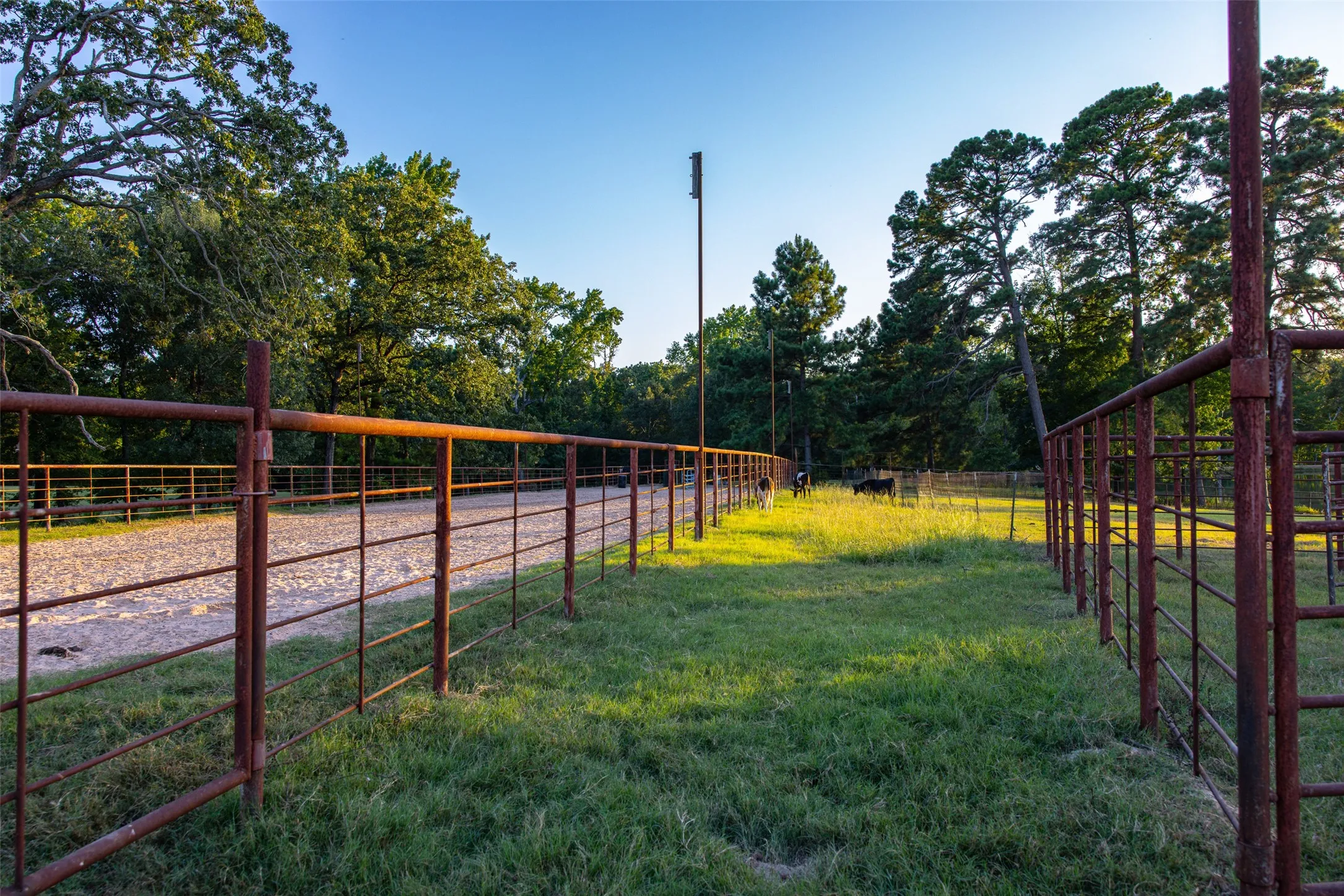 Ranch For Sale in Henderson County , 12701 FM 2010, Chandler, Texas 75758, 0, 0, Garage spaces, 0 Sqft, built in 2008, Price $1,075,000, mls#21020743, Real Estate Agent in Chandler, Homes For Sale in Henderson county, Homes For Sale in Chandler, Realtor in Chandler Texas, Real Estate Brokerage Independent Realty Texas, Luminita Cordes Realtor