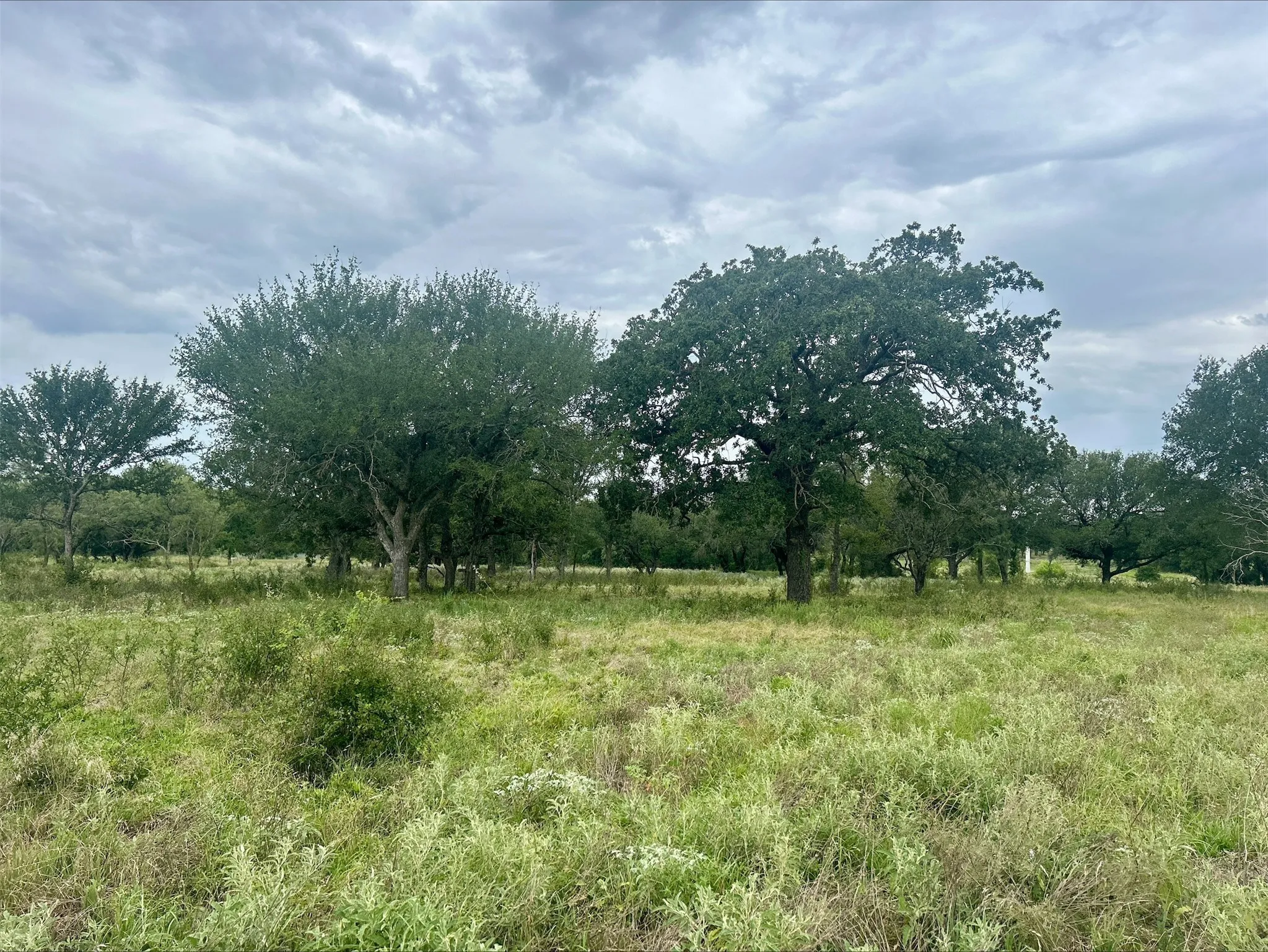 Unimproved Land For Sale in Erath County , Lot 5 County Road 380, Dublin, Texas 76446, 0, 0, Garage spaces, 0 Sqft, built in 0, Price $153,692, mls#21020608, Real Estate Agent in Dublin, Homes For Sale in Erath county, Homes For Sale in Dublin, Realtor in Dublin Texas, Real Estate Brokerage Independent Realty Texas, Luminita Cordes Realtor