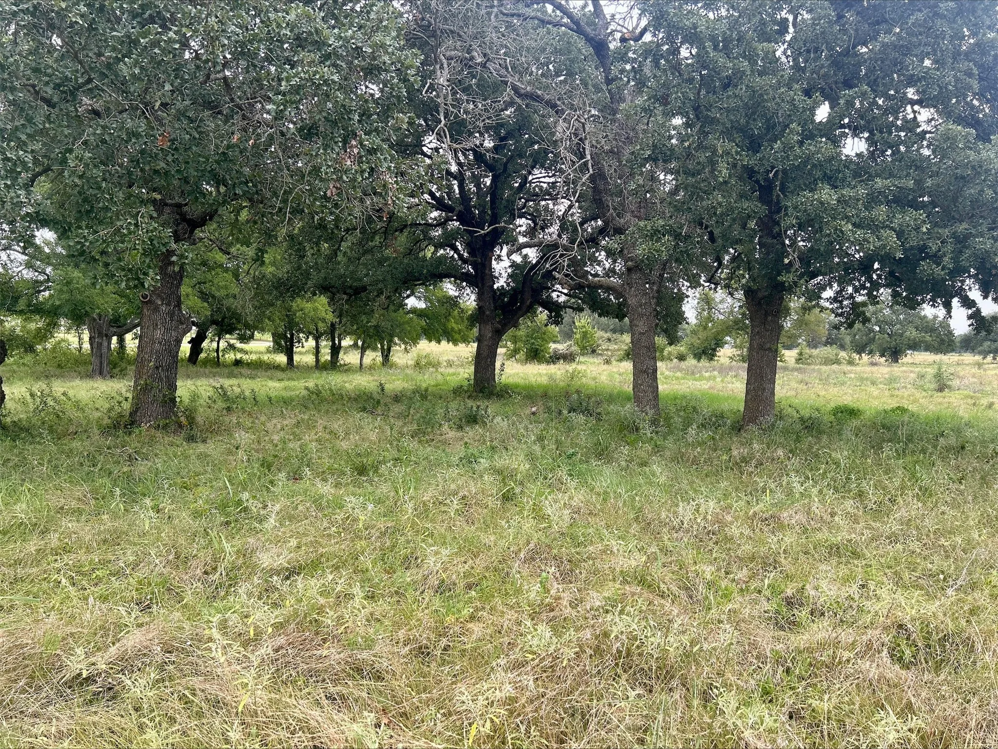 Unimproved Land For Sale in Erath County , Lot 5 County Road 380, Dublin, Texas 76446, 0, 0, Garage spaces, 0 Sqft, built in 0, Price $153,692, mls#21020608, Real Estate Agent in Dublin, Homes For Sale in Erath county, Homes For Sale in Dublin, Realtor in Dublin Texas, Real Estate Brokerage Independent Realty Texas, Luminita Cordes Realtor