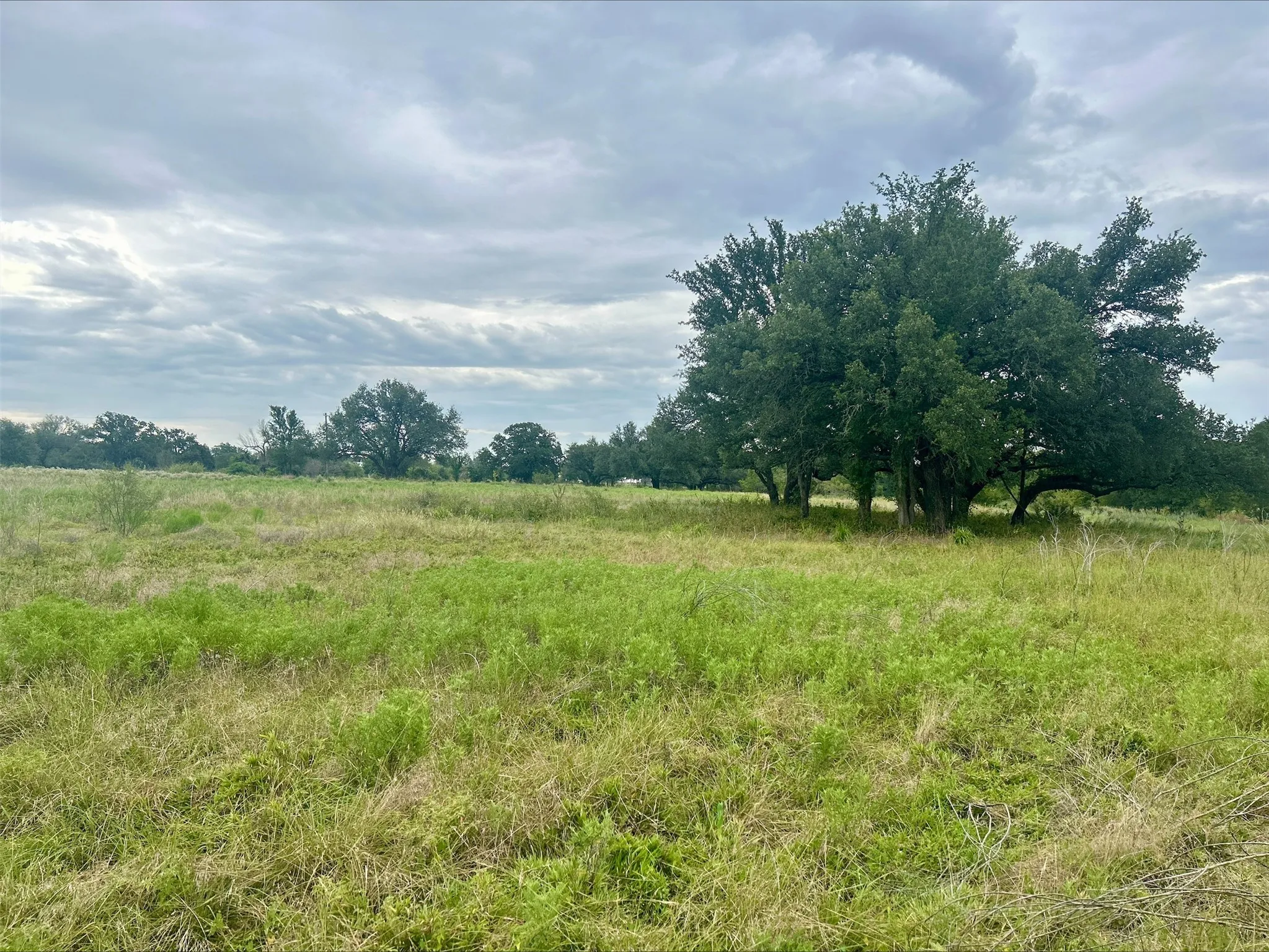 Unimproved Land For Sale in Erath County , Lot 5 County Road 380, Dublin, Texas 76446, 0, 0, Garage spaces, 0 Sqft, built in 0, Price $153,692, mls#21020608, Real Estate Agent in Dublin, Homes For Sale in Erath county, Homes For Sale in Dublin, Realtor in Dublin Texas, Real Estate Brokerage Independent Realty Texas, Luminita Cordes Realtor