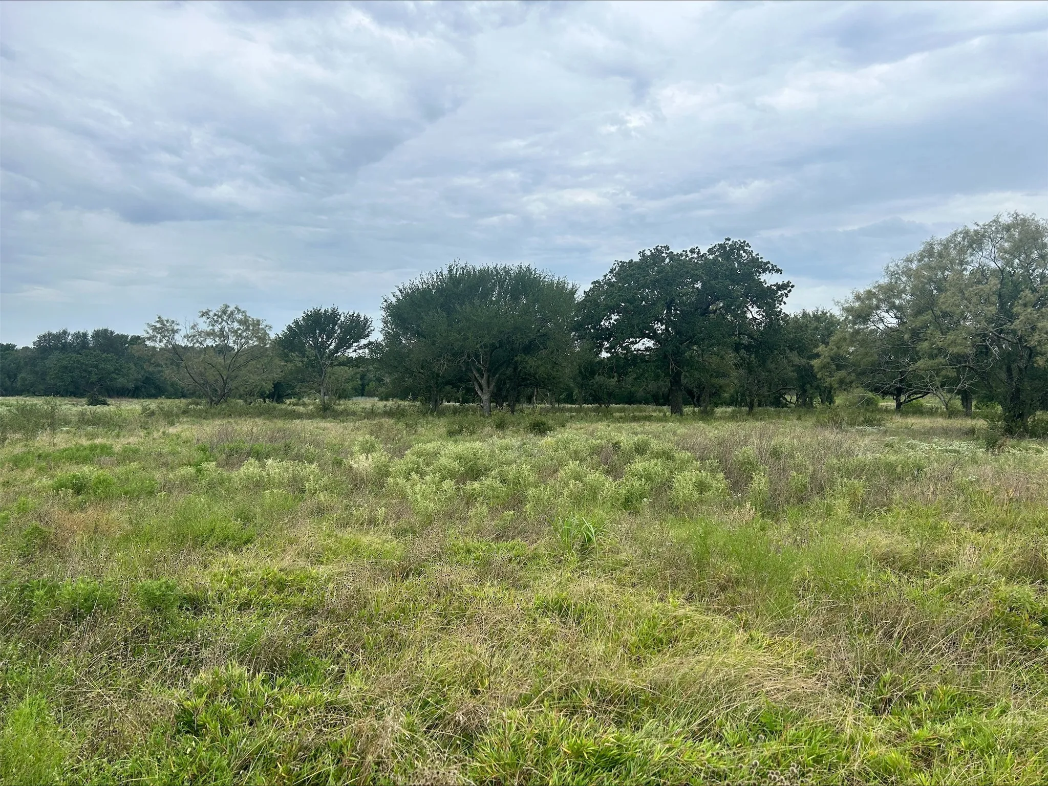 Unimproved Land For Sale in Erath County , Lot 5 County Road 380, Dublin, Texas 76446, 0, 0, Garage spaces, 0 Sqft, built in 0, Price $153,692, mls#21020608, Real Estate Agent in Dublin, Homes For Sale in Erath county, Homes For Sale in Dublin, Realtor in Dublin Texas, Real Estate Brokerage Independent Realty Texas, Luminita Cordes Realtor