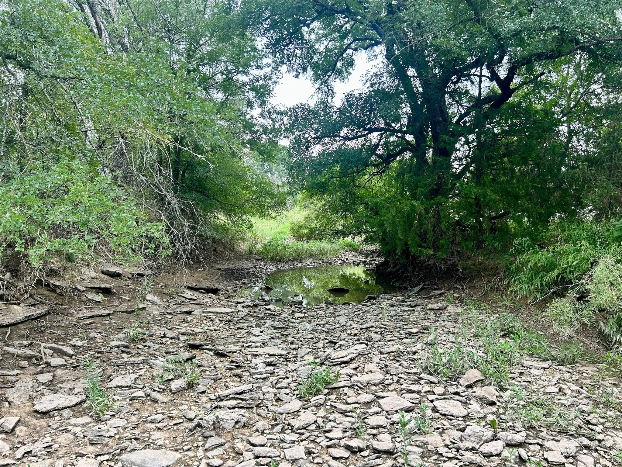 Unimproved Land For Sale in Erath County , Lot 5 County Road 380, Dublin, Texas 76446, 0, 0, Garage spaces, 0 Sqft, built in 0, Price $153,692, mls#21020608, Real Estate Agent in Dublin, Homes For Sale in Erath county, Homes For Sale in Dublin, Realtor in Dublin Texas, Real Estate Brokerage Independent Realty Texas, Luminita Cordes Realtor