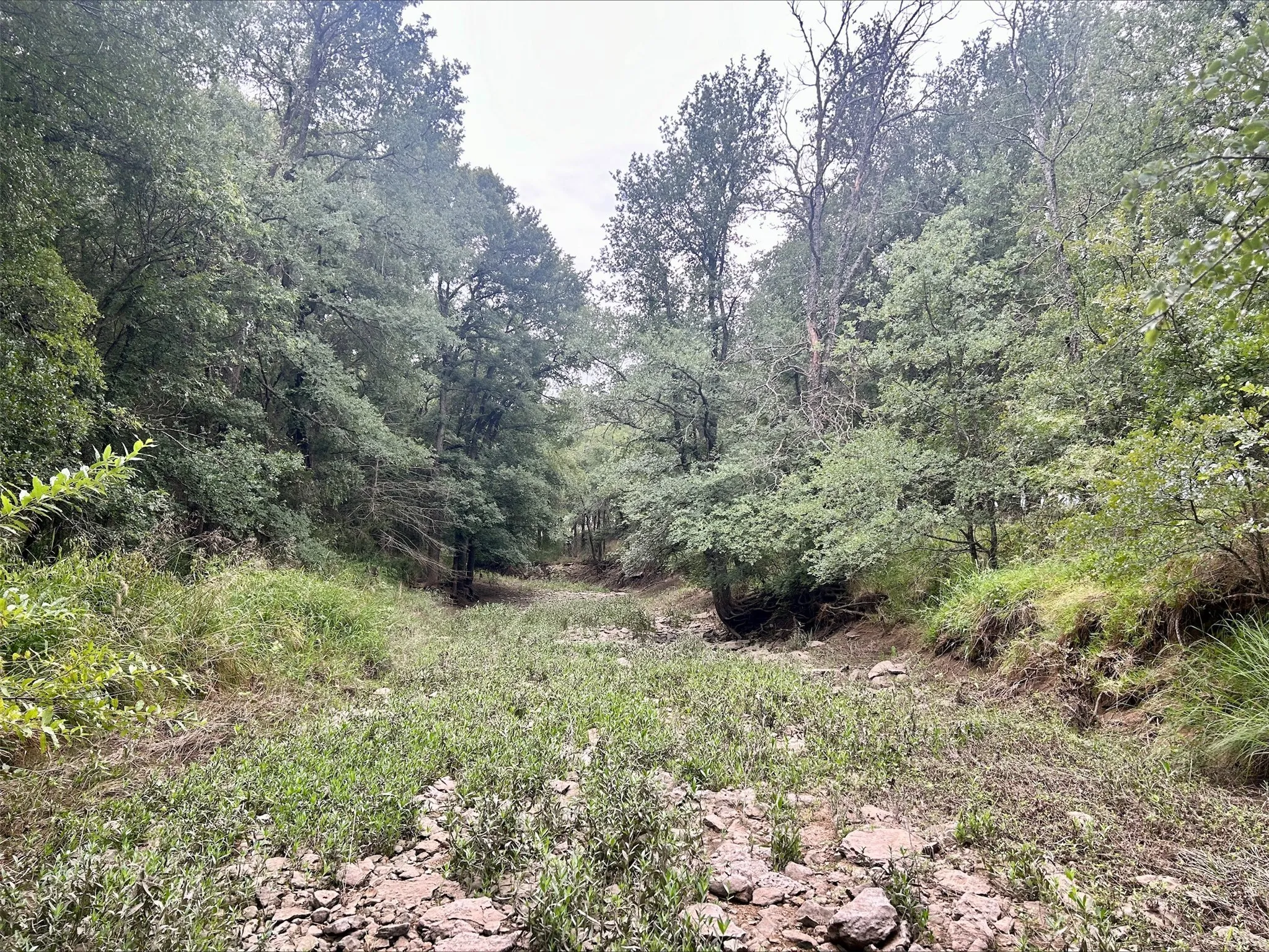 Unimproved Land For Sale in Erath County , Lot 5 County Road 380, Dublin, Texas 76446, 0, 0, Garage spaces, 0 Sqft, built in 0, Price $153,692, mls#21020608, Real Estate Agent in Dublin, Homes For Sale in Erath county, Homes For Sale in Dublin, Realtor in Dublin Texas, Real Estate Brokerage Independent Realty Texas, Luminita Cordes Realtor