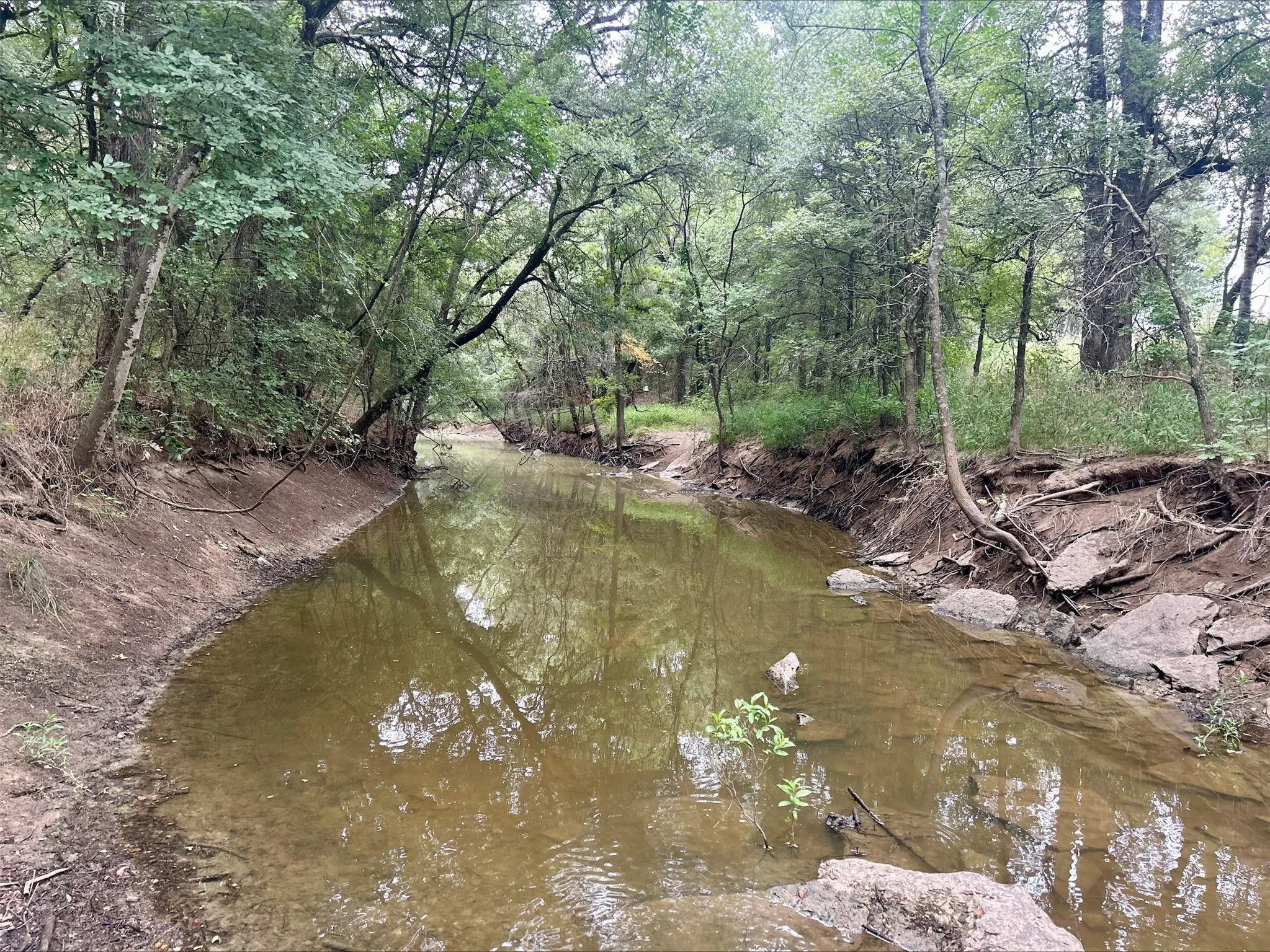 Unimproved Land For Sale in Erath County , Lot 5 County Road 380, Dublin, Texas 76446, 0, 0, Garage spaces, 0 Sqft, built in 0, Price $153,692, mls#21020608, Real Estate Agent in Dublin, Homes For Sale in Erath county, Homes For Sale in Dublin, Realtor in Dublin Texas, Real Estate Brokerage Independent Realty Texas, Luminita Cordes Realtor