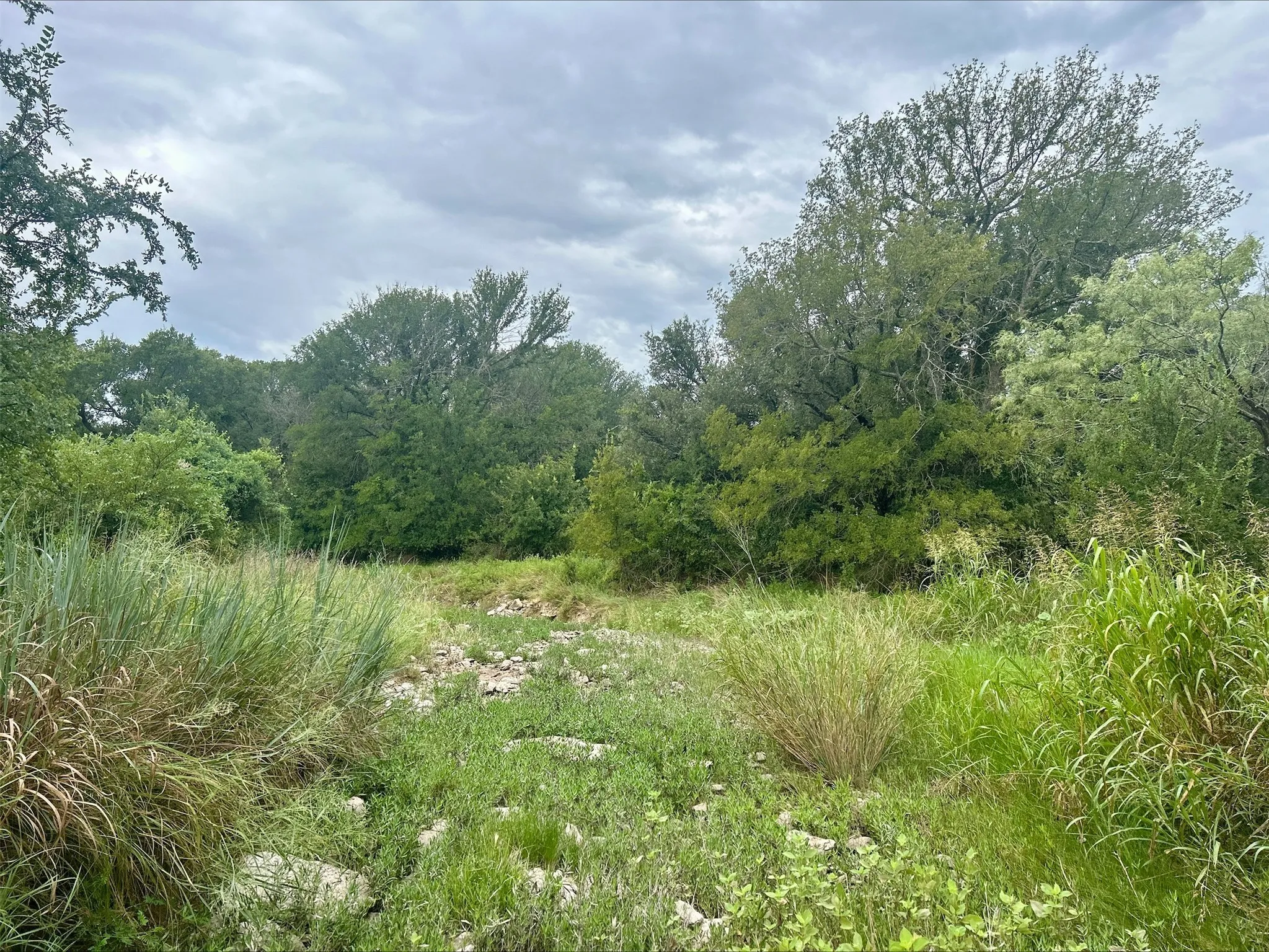 Unimproved Land For Sale in Erath County , Lot 5 County Road 380, Dublin, Texas 76446, 0, 0, Garage spaces, 0 Sqft, built in 0, Price $153,692, mls#21020608, Real Estate Agent in Dublin, Homes For Sale in Erath county, Homes For Sale in Dublin, Realtor in Dublin Texas, Real Estate Brokerage Independent Realty Texas, Luminita Cordes Realtor