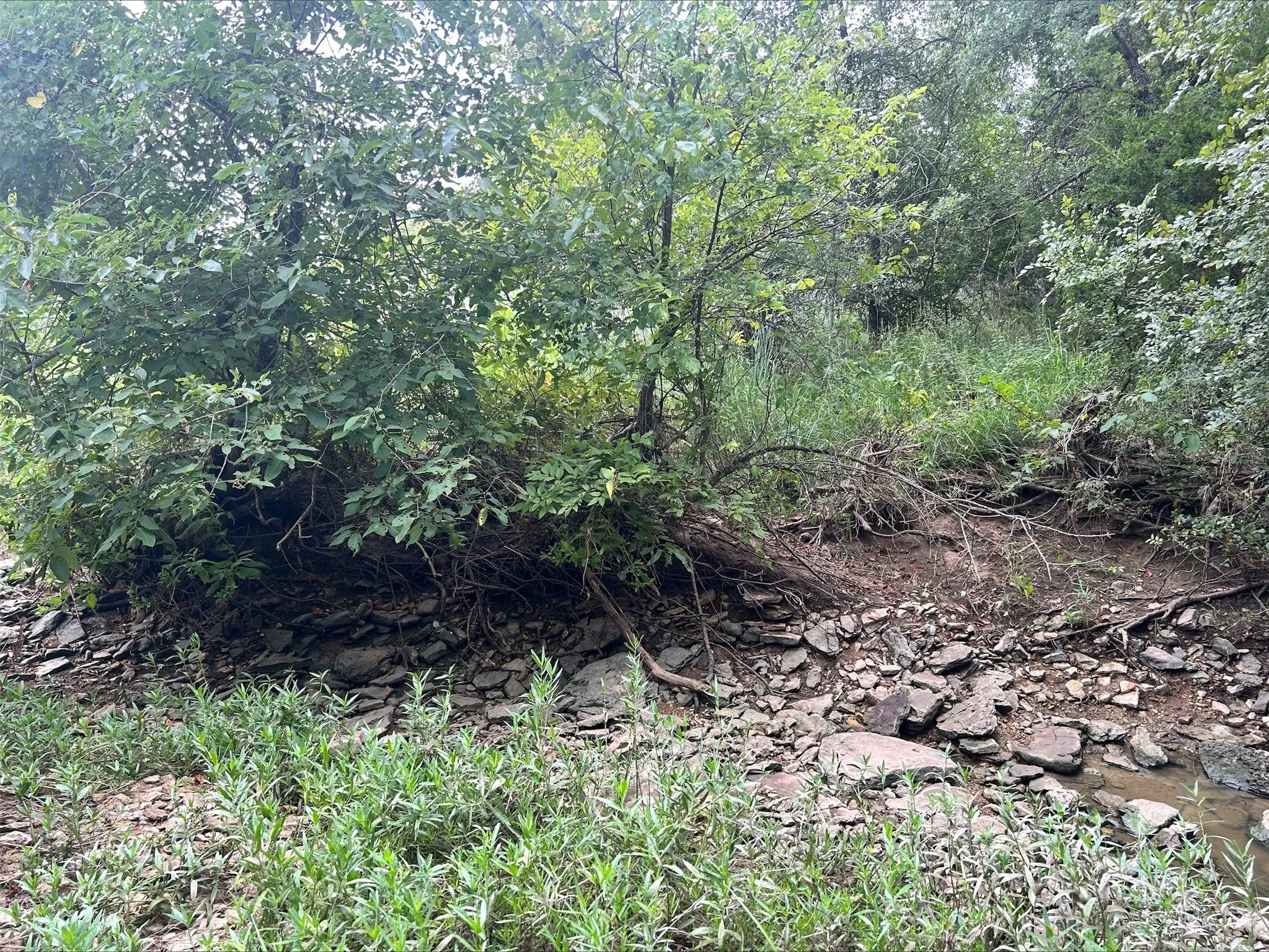 Unimproved Land For Sale in Erath County , Lot 5 County Road 380, Dublin, Texas 76446, 0, 0, Garage spaces, 0 Sqft, built in 0, Price $153,692, mls#21020608, Real Estate Agent in Dublin, Homes For Sale in Erath county, Homes For Sale in Dublin, Realtor in Dublin Texas, Real Estate Brokerage Independent Realty Texas, Luminita Cordes Realtor