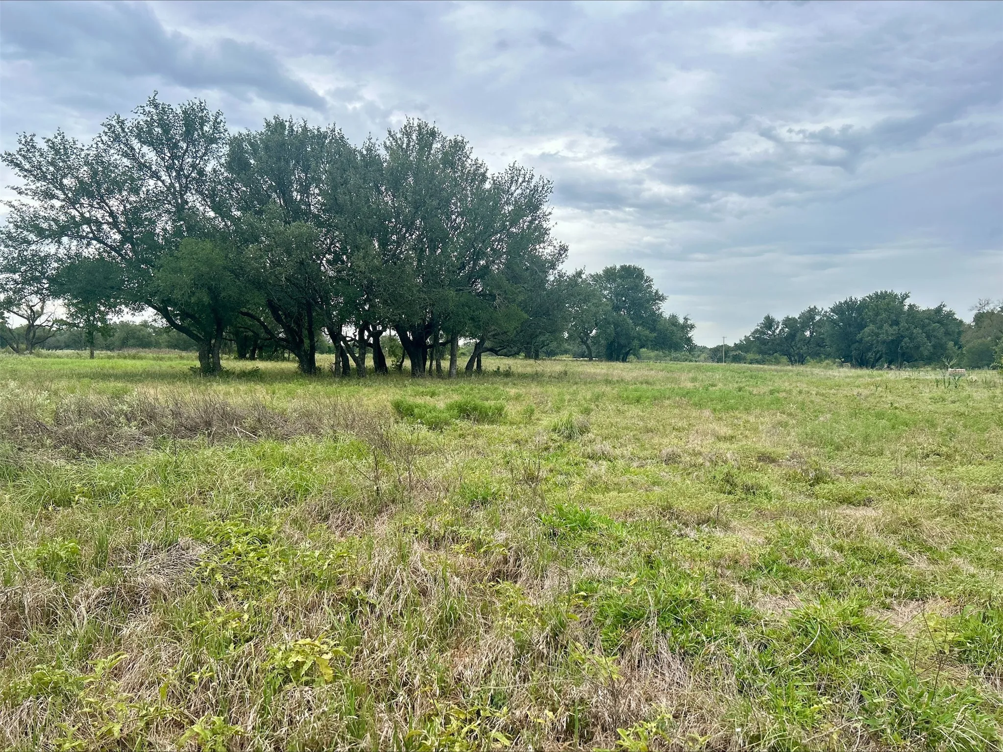 Unimproved Land For Sale in Erath County , Lot 5 County Road 380, Dublin, Texas 76446, 0, 0, Garage spaces, 0 Sqft, built in 0, Price $153,692, mls#21020608, Real Estate Agent in Dublin, Homes For Sale in Erath county, Homes For Sale in Dublin, Realtor in Dublin Texas, Real Estate Brokerage Independent Realty Texas, Luminita Cordes Realtor