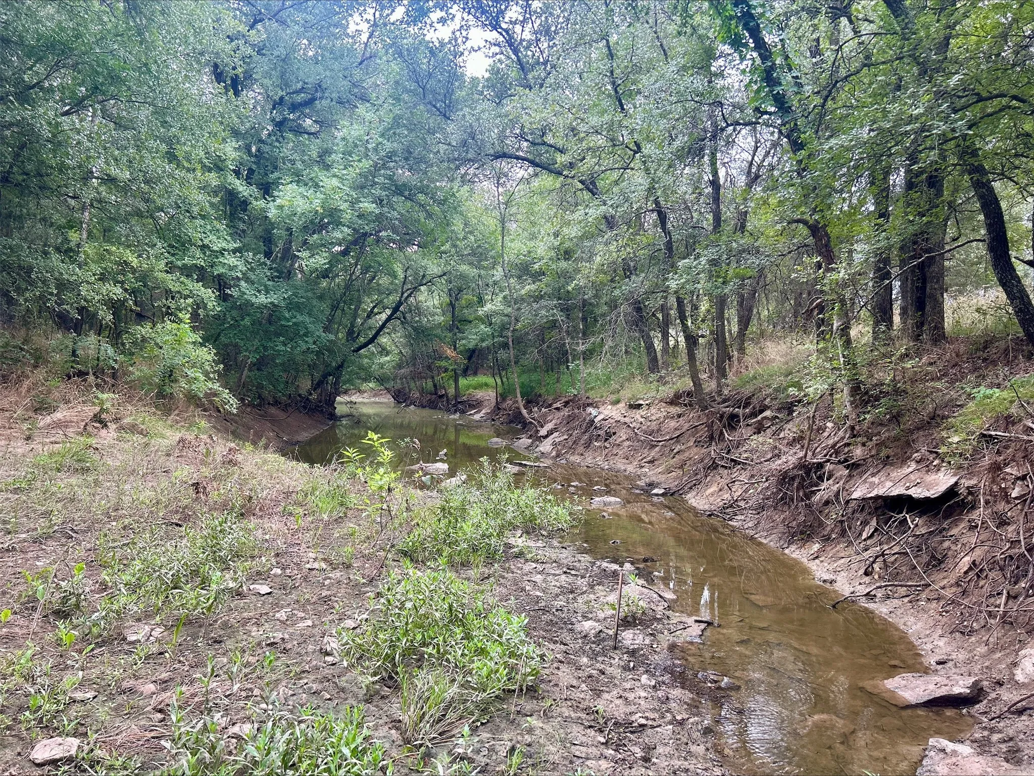 Unimproved Land For Sale in Erath County , Lot 5 County Road 380, Dublin, Texas 76446, 0, 0, Garage spaces, 0 Sqft, built in 0, Price $153,692, mls#21020608, Real Estate Agent in Dublin, Homes For Sale in Erath county, Homes For Sale in Dublin, Realtor in Dublin Texas, Real Estate Brokerage Independent Realty Texas, Luminita Cordes Realtor