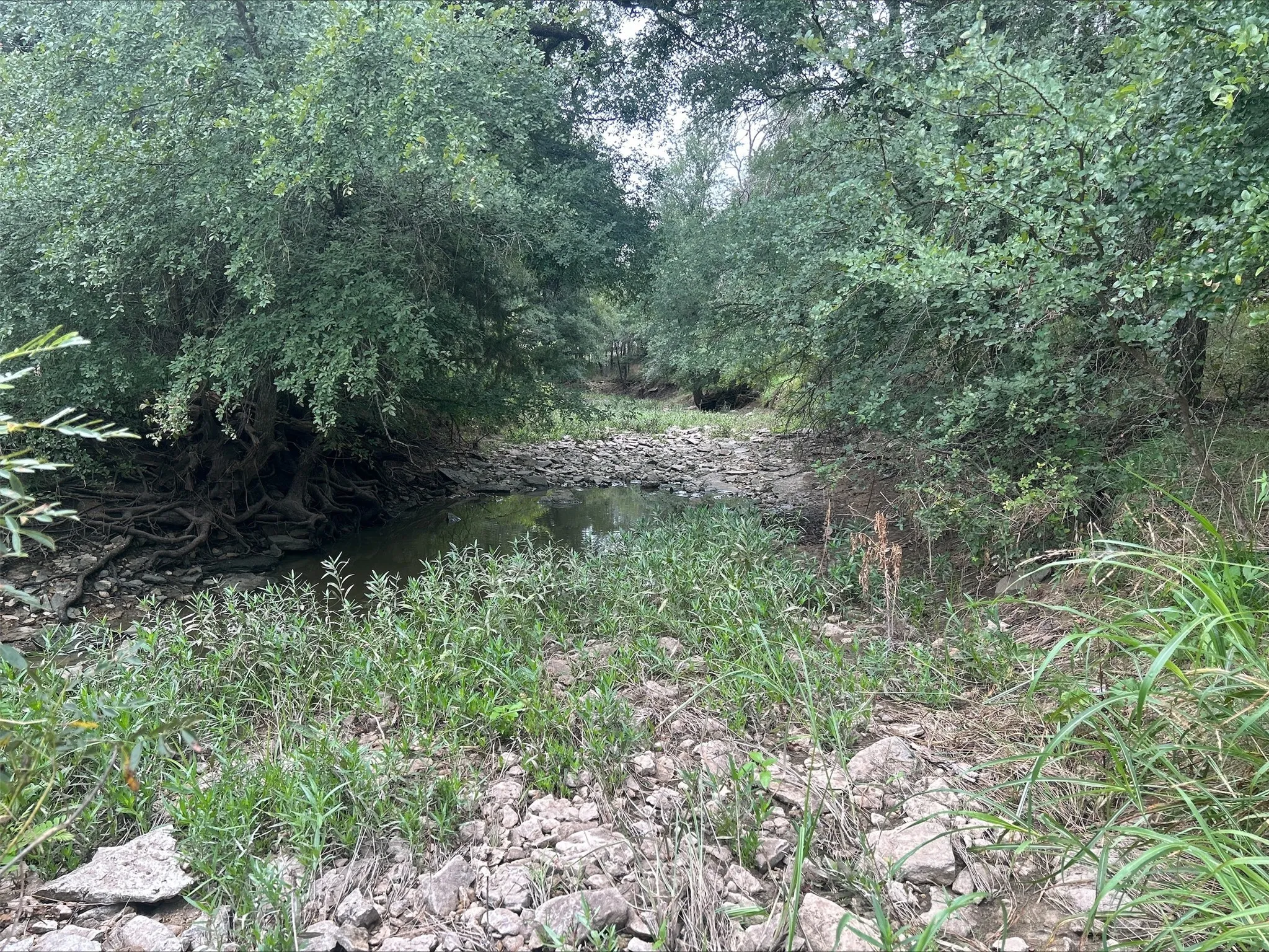 Unimproved Land For Sale in Erath County , Lot 5 County Road 380, Dublin, Texas 76446, 0, 0, Garage spaces, 0 Sqft, built in 0, Price $153,692, mls#21020608, Real Estate Agent in Dublin, Homes For Sale in Erath county, Homes For Sale in Dublin, Realtor in Dublin Texas, Real Estate Brokerage Independent Realty Texas, Luminita Cordes Realtor