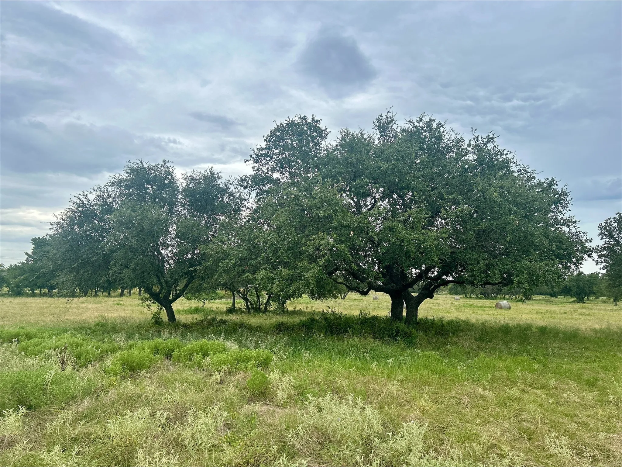 Unimproved Land For Sale in Erath County , Lot 5 County Road 380, Dublin, Texas 76446, 0, 0, Garage spaces, 0 Sqft, built in 0, Price $153,692, mls#21020608, Real Estate Agent in Dublin, Homes For Sale in Erath county, Homes For Sale in Dublin, Realtor in Dublin Texas, Real Estate Brokerage Independent Realty Texas, Luminita Cordes Realtor