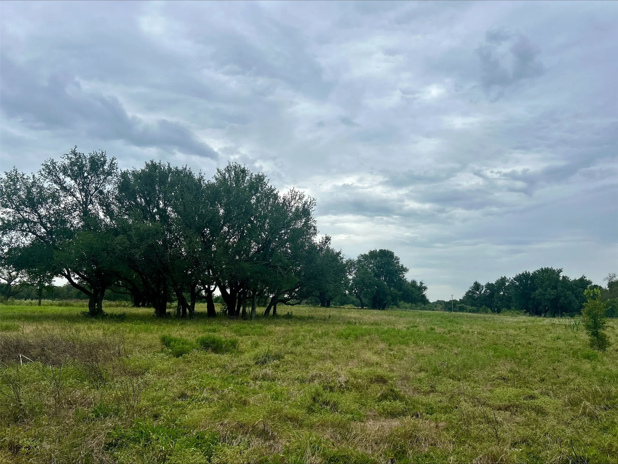 Unimproved Land For Sale in Erath County , Lot 5 County Road 380, Dublin, Texas 76446, 0, 0, Garage spaces, 0 Sqft, built in 0, Price $153,692, mls#21020608, Real Estate Agent in Dublin, Homes For Sale in Erath county, Homes For Sale in Dublin, Realtor in Dublin Texas, Real Estate Brokerage Independent Realty Texas, Luminita Cordes Realtor