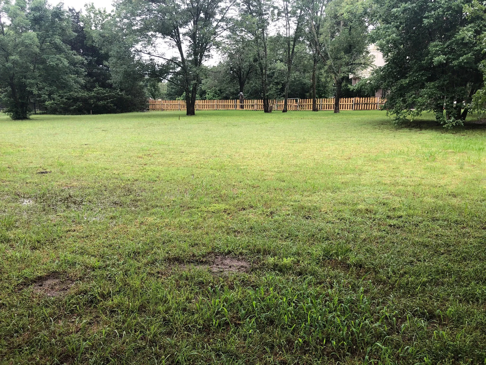 Unimproved Land For Sale in Grayson County , 190 Neva Lane, Denison, Texas 75020, 0, 0, Garage spaces, 0 Sqft, built in 0, Price $175,000, mls#21020934, Real Estate Agent in Denison, Homes For Sale in Grayson county, Homes For Sale in Denison, Realtor in Denison Texas, Real Estate Brokerage Independent Realty Texas, Luminita Cordes Realtor