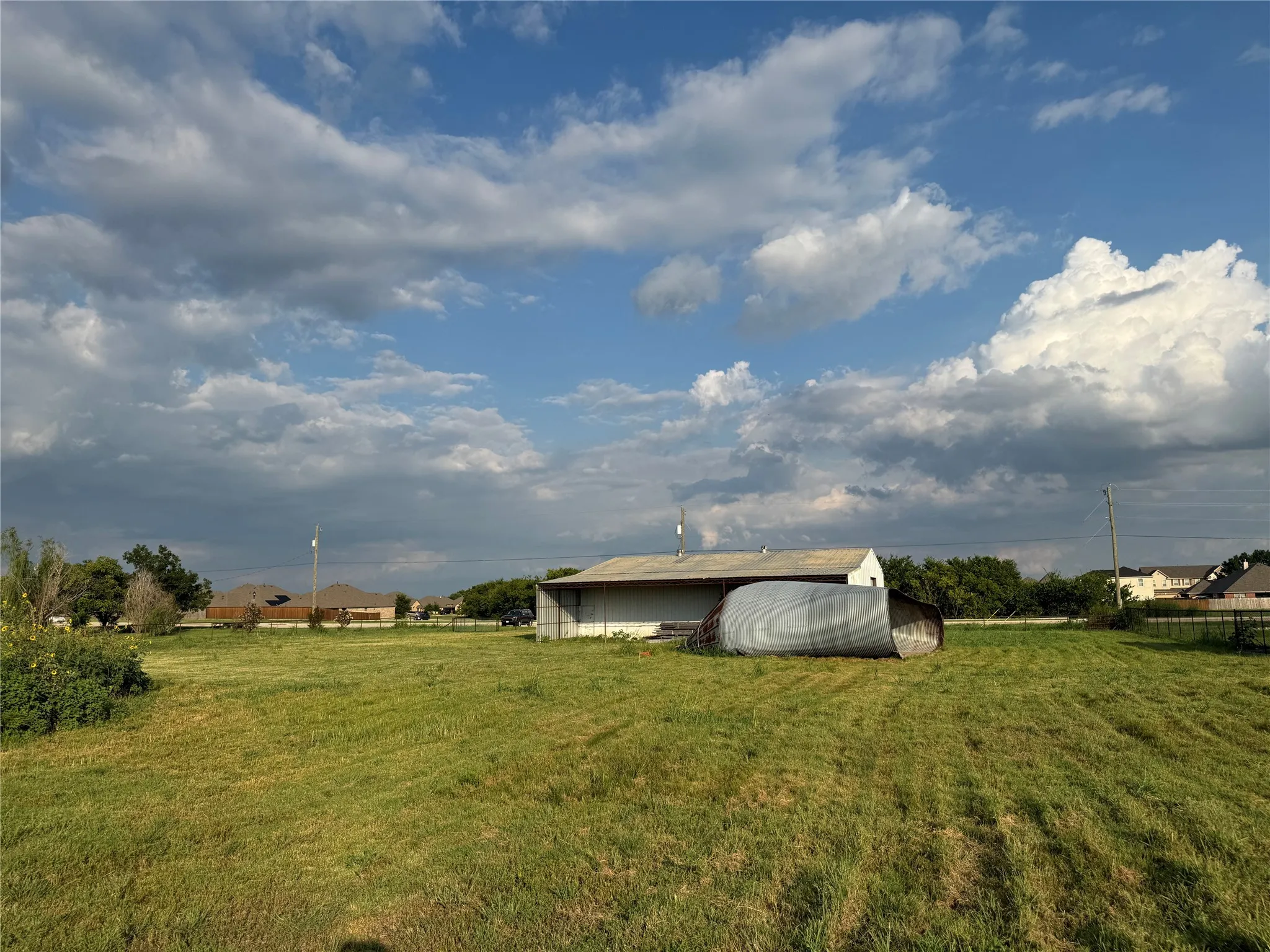 View of grassy yard