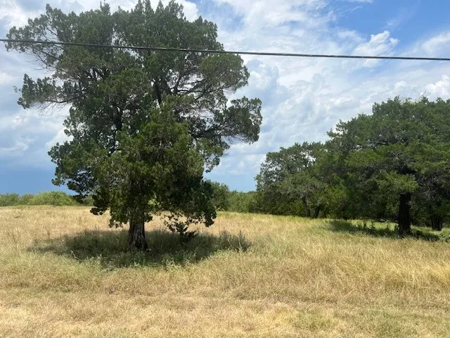 View of nature