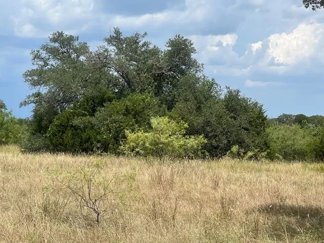 Unimproved Land For Sale in Hill County , 28005 White Bluff Drive, Whitney, Texas 76692, 0, 0, Garage spaces, 0 Sqft, built in 0, Price $35,000, mls#21021183, Real Estate Agent in Whitney, Homes For Sale in Hill county, Homes For Sale in Whitney, Realtor in Whitney Texas, Real Estate Brokerage Independent Realty Texas, Luminita Cordes Realtor