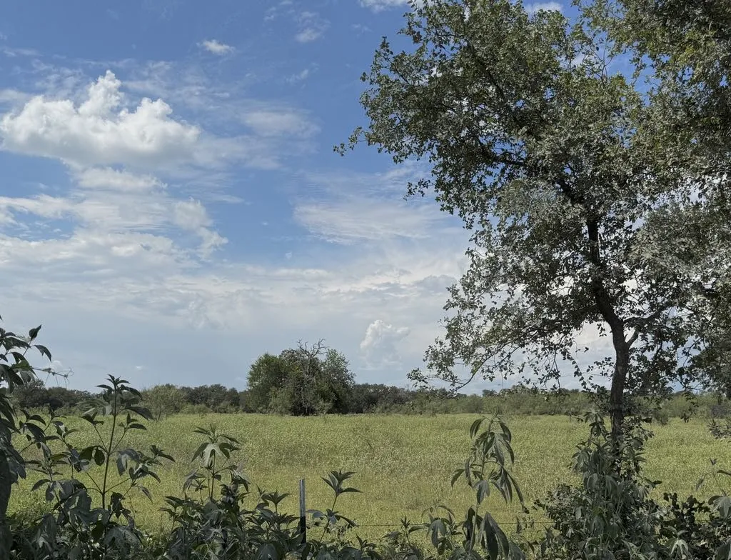 Farm For Sale in Falls County , TBD HWY 6, Riesel, Texas 76682, 3 Bedrooms, 1 Bathroom, Garage spaces, 1,386 Sqft, built in 1950, Price $375,000, mls#21021886, Real Estate Agent in Riesel, Homes For Sale in Falls county, Homes For Sale in Riesel, Realtor in Riesel Texas, Real Estate Brokerage Independent Realty Texas, Luminita Cordes Realtor