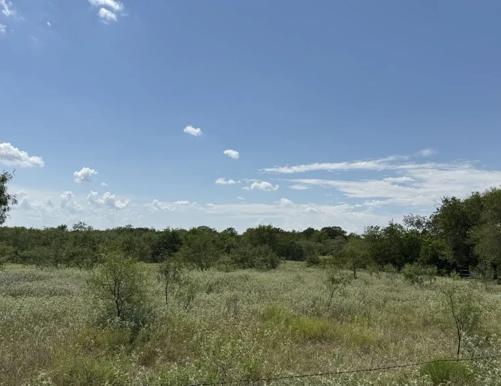 Farm For Sale in Falls County , TBD HWY 6, Riesel, Texas 76682, 3 Bedrooms, 1 Bathroom, Garage spaces, 1,386 Sqft, built in 1950, Price $375,000, mls#21021886, Real Estate Agent in Riesel, Homes For Sale in Falls county, Homes For Sale in Riesel, Realtor in Riesel Texas, Real Estate Brokerage Independent Realty Texas, Luminita Cordes Realtor