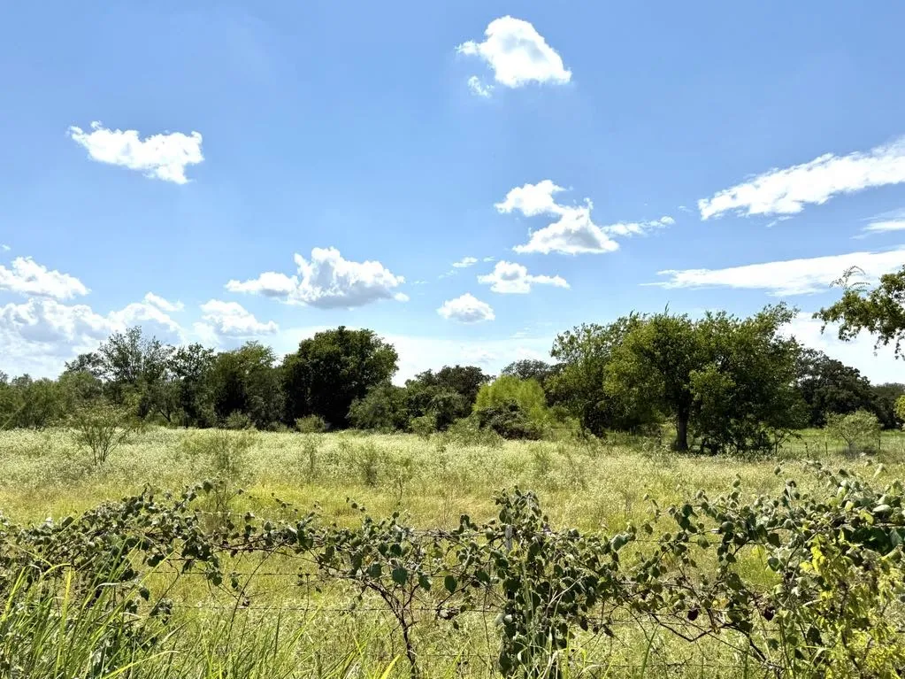 Farm For Sale in Falls County , TBD HWY 6, Riesel, Texas 76682, 3 Bedrooms, 1 Bathroom, Garage spaces, 1,386 Sqft, built in 1950, Price $375,000, mls#21021886, Real Estate Agent in Riesel, Homes For Sale in Falls county, Homes For Sale in Riesel, Realtor in Riesel Texas, Real Estate Brokerage Independent Realty Texas, Luminita Cordes Realtor