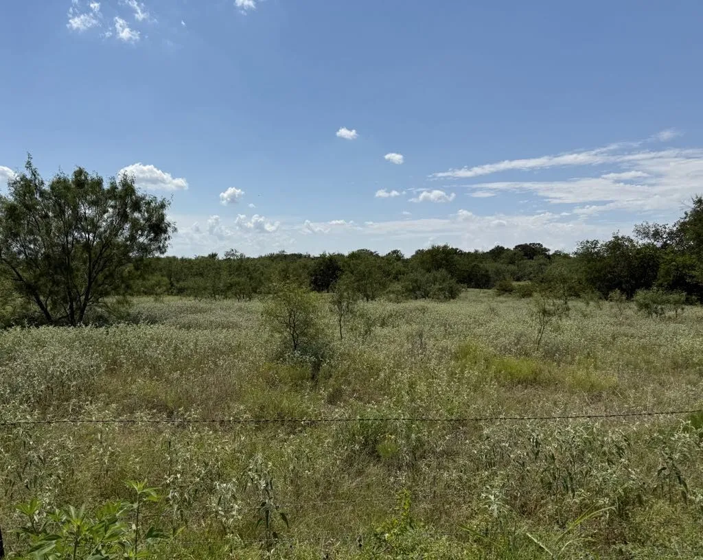 Farm For Sale in Falls County , TBD HWY 6, Riesel, Texas 76682, 3 Bedrooms, 1 Bathroom, Garage spaces, 1,386 Sqft, built in 1950, Price $375,000, mls#21021886, Real Estate Agent in Riesel, Homes For Sale in Falls county, Homes For Sale in Riesel, Realtor in Riesel Texas, Real Estate Brokerage Independent Realty Texas, Luminita Cordes Realtor